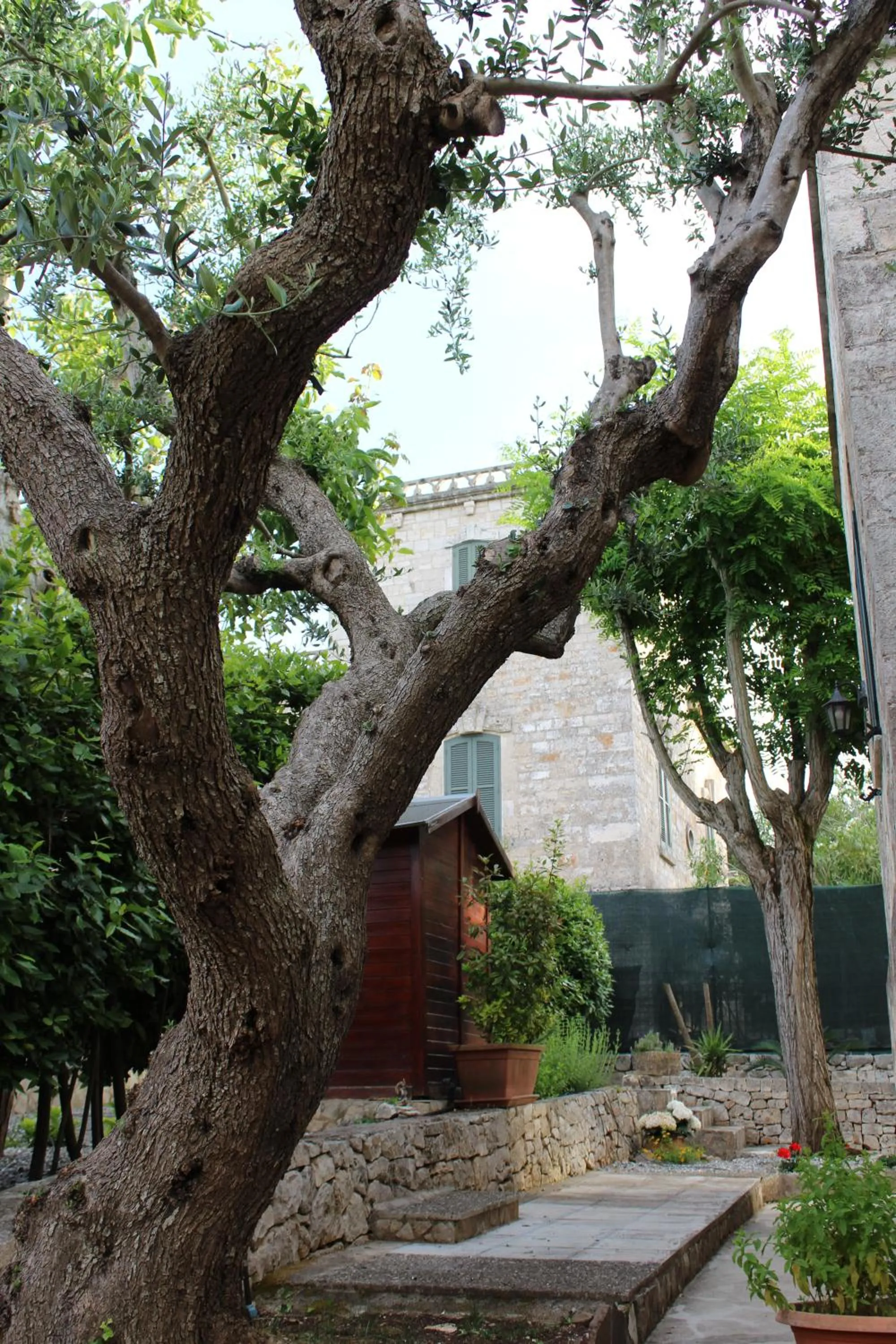 Garden in Domus Relax