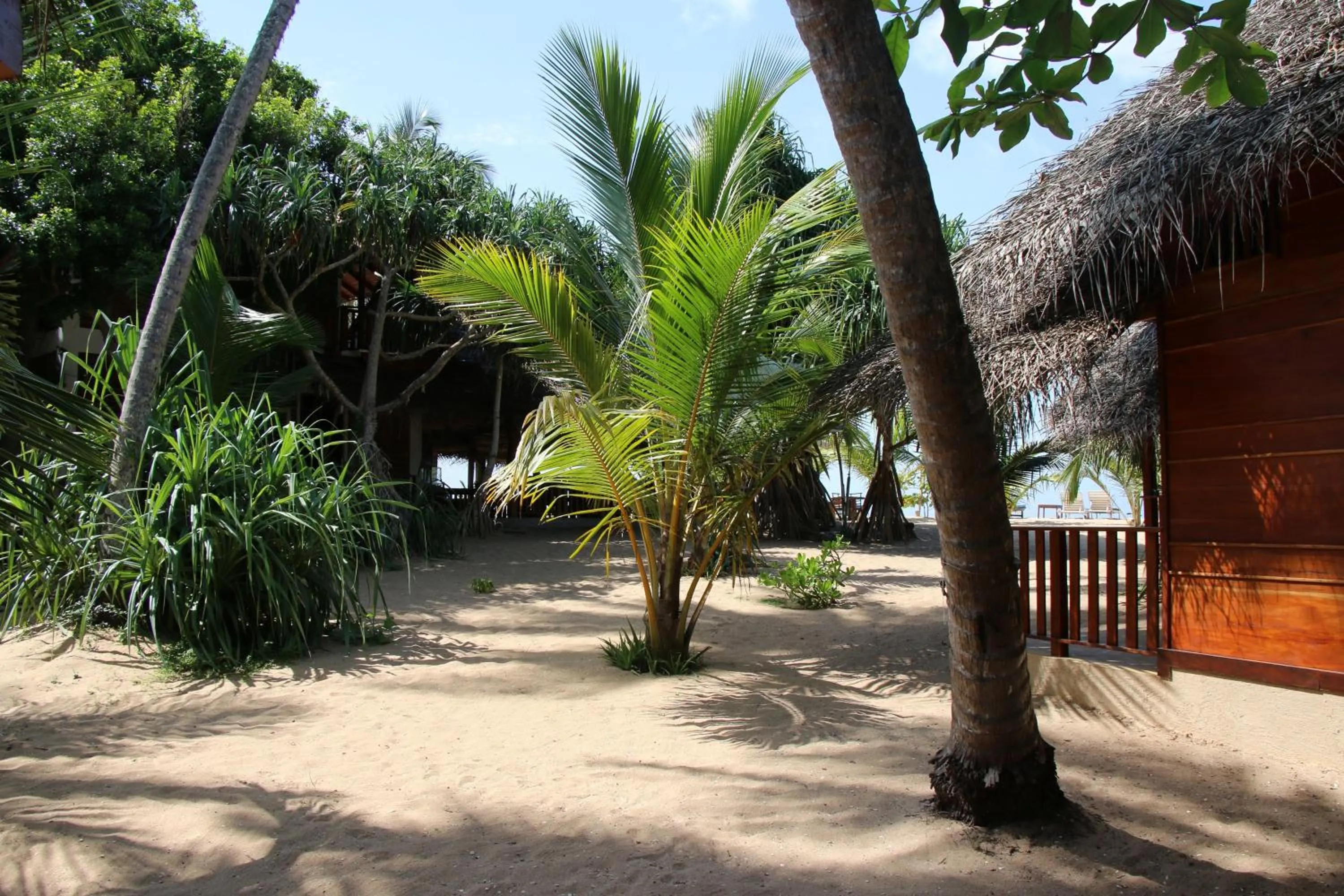 Garden view in Shiva's Beach Cabanas