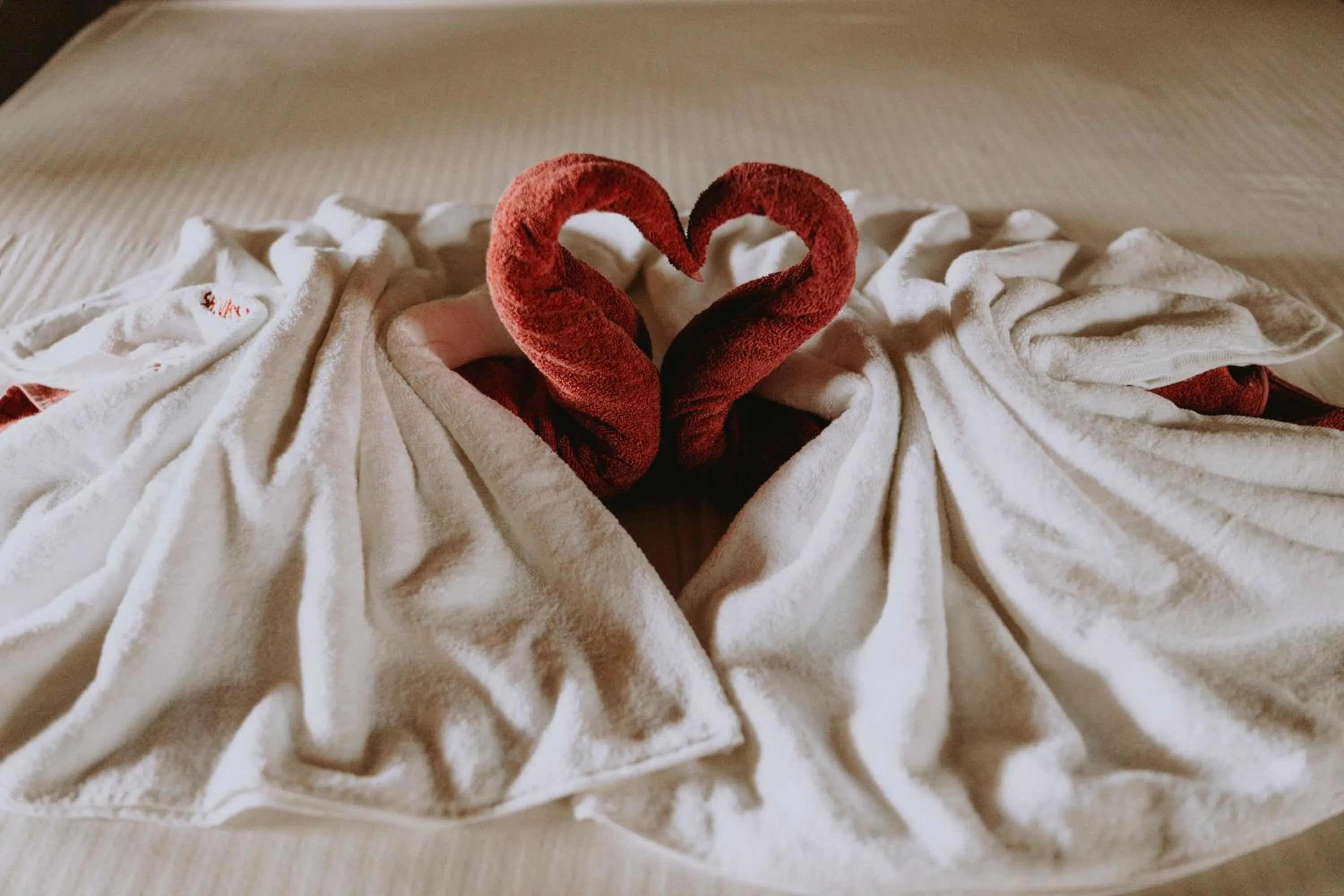 Bed in Shiva's Beach Cabanas