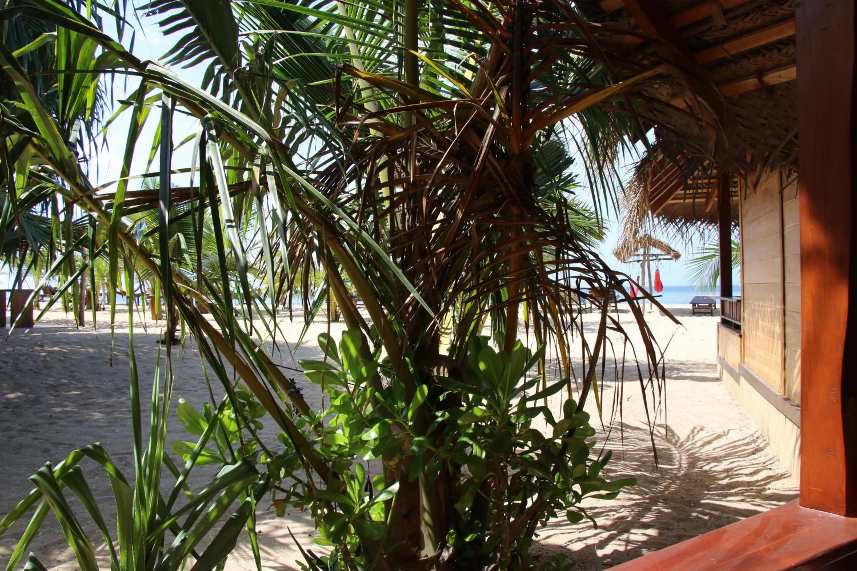 Sea view in Shiva's Beach Cabanas