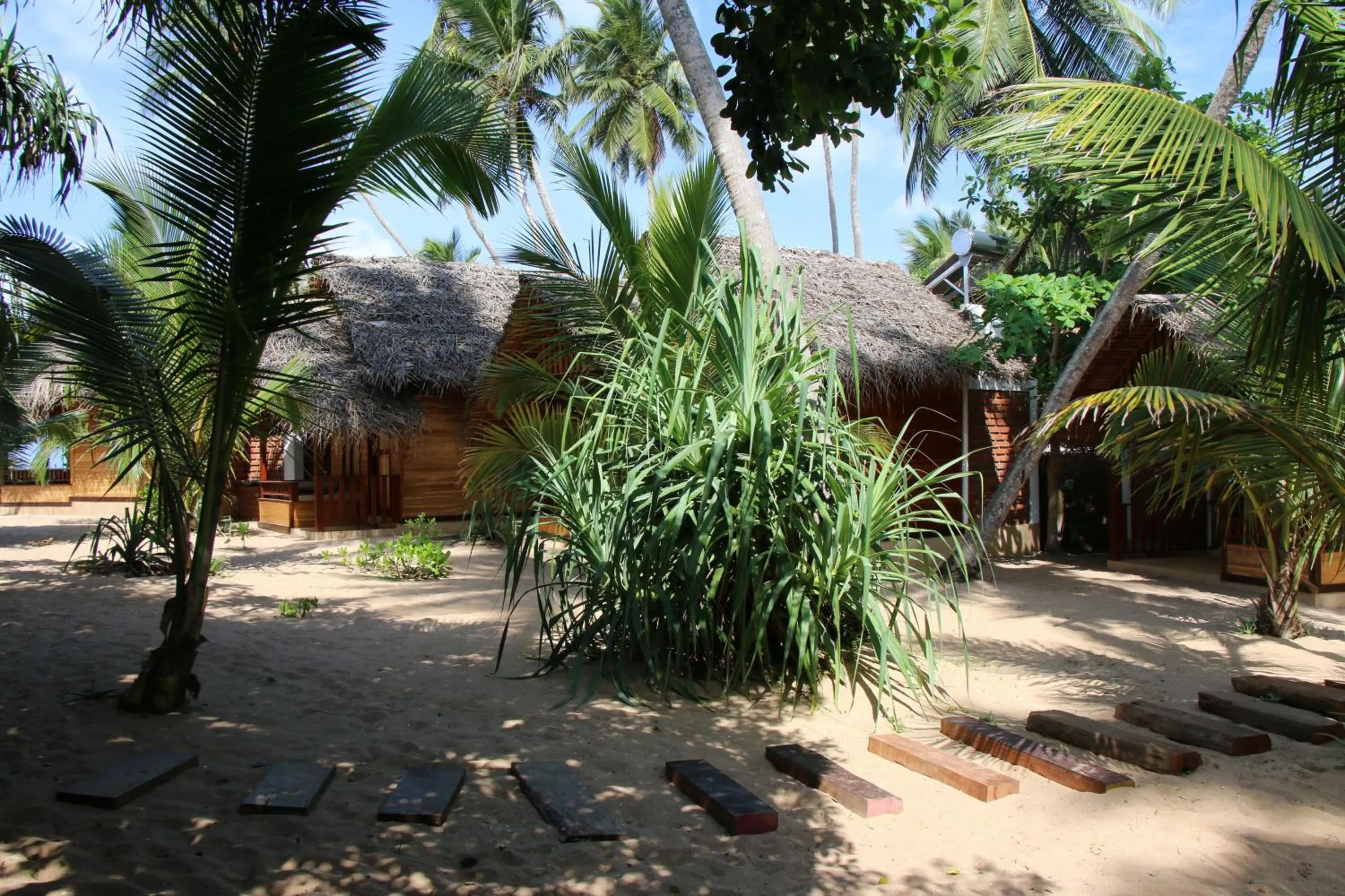 Garden in Shiva's Beach Cabanas