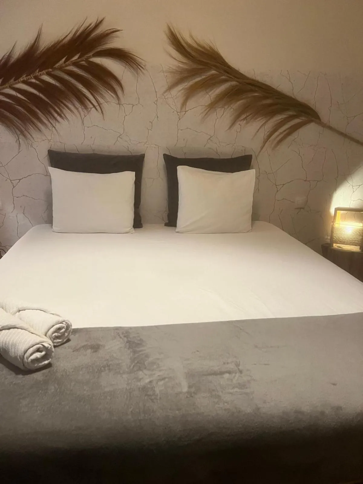 Photo of the whole room, Bed in Cactus Host