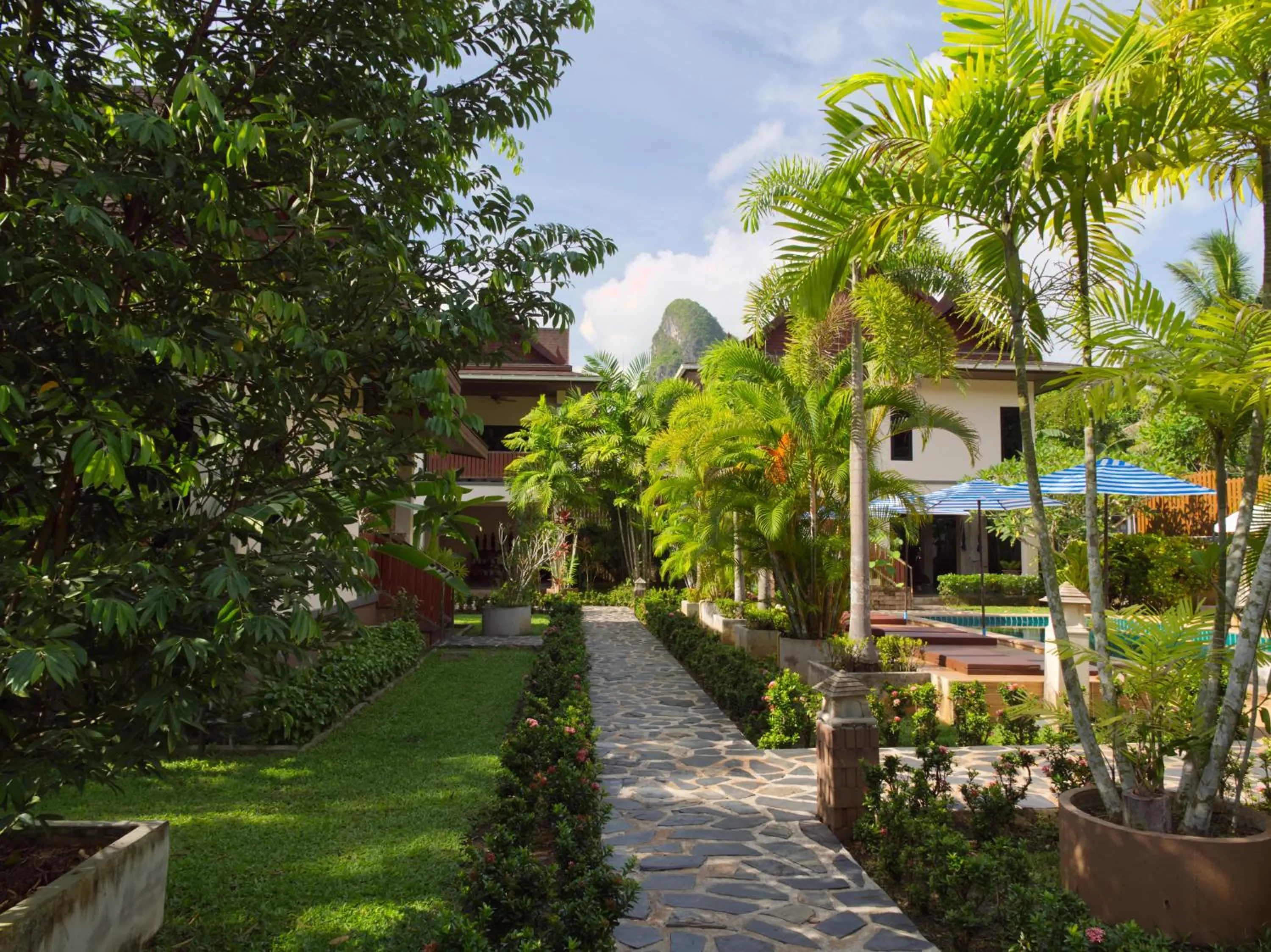 Garden in Chanapha Residence