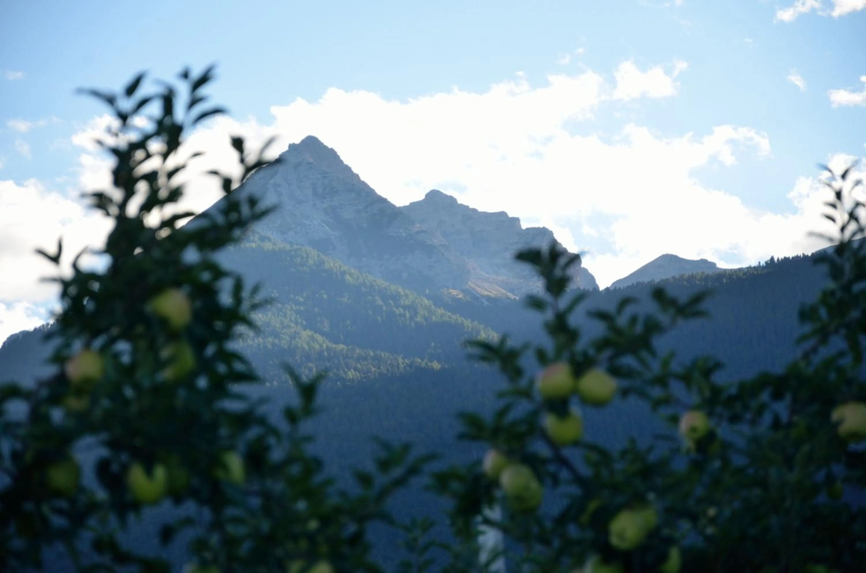 Mountain view in Al Trifoglio