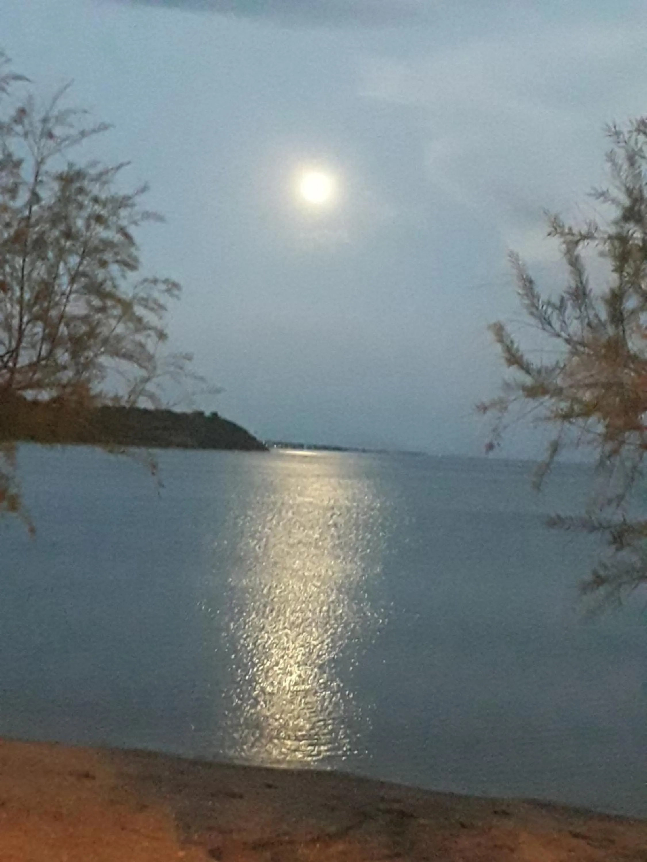 Natural landscape in Poseidon Hotel