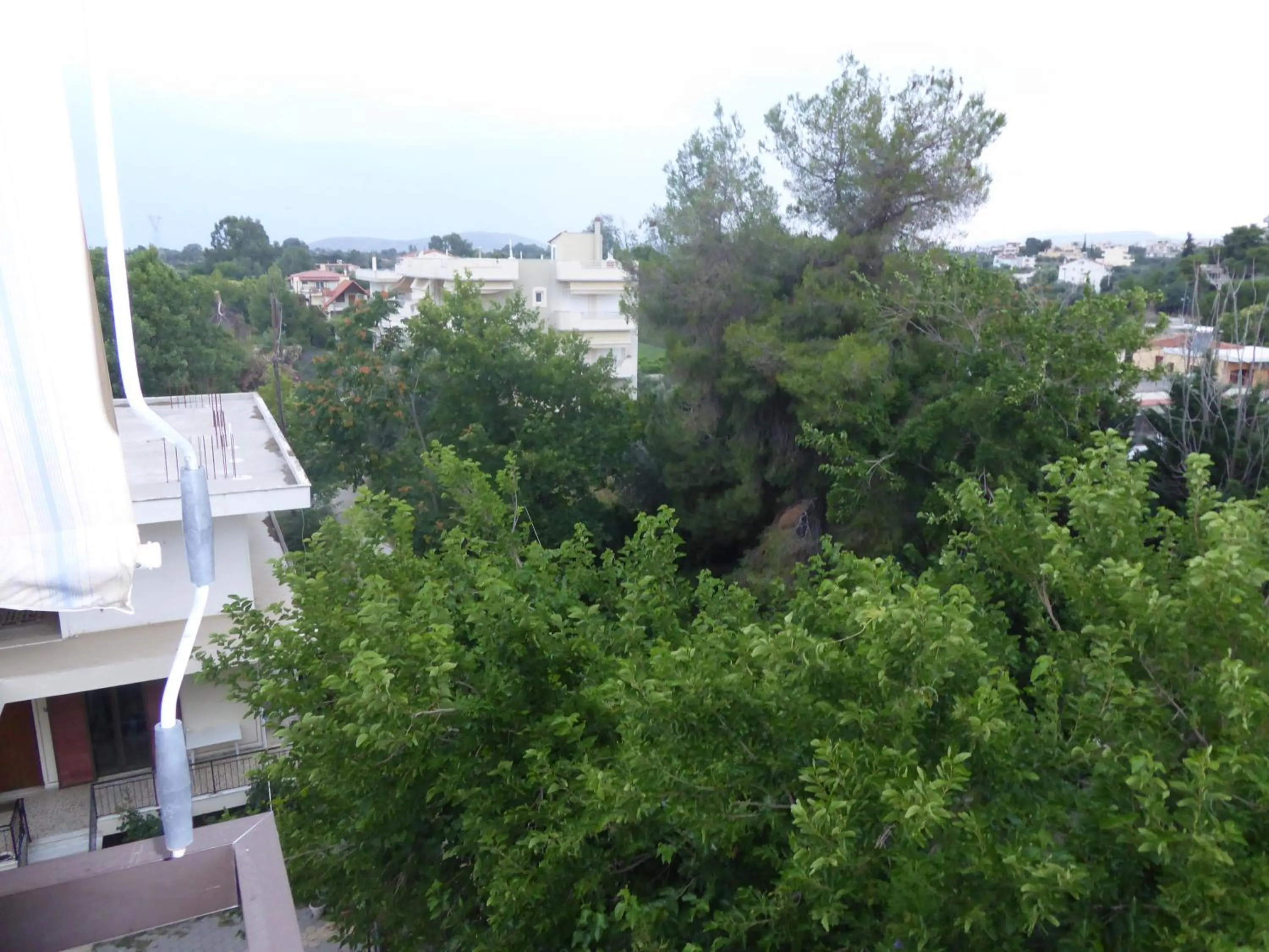 Garden view in Poseidon Hotel
