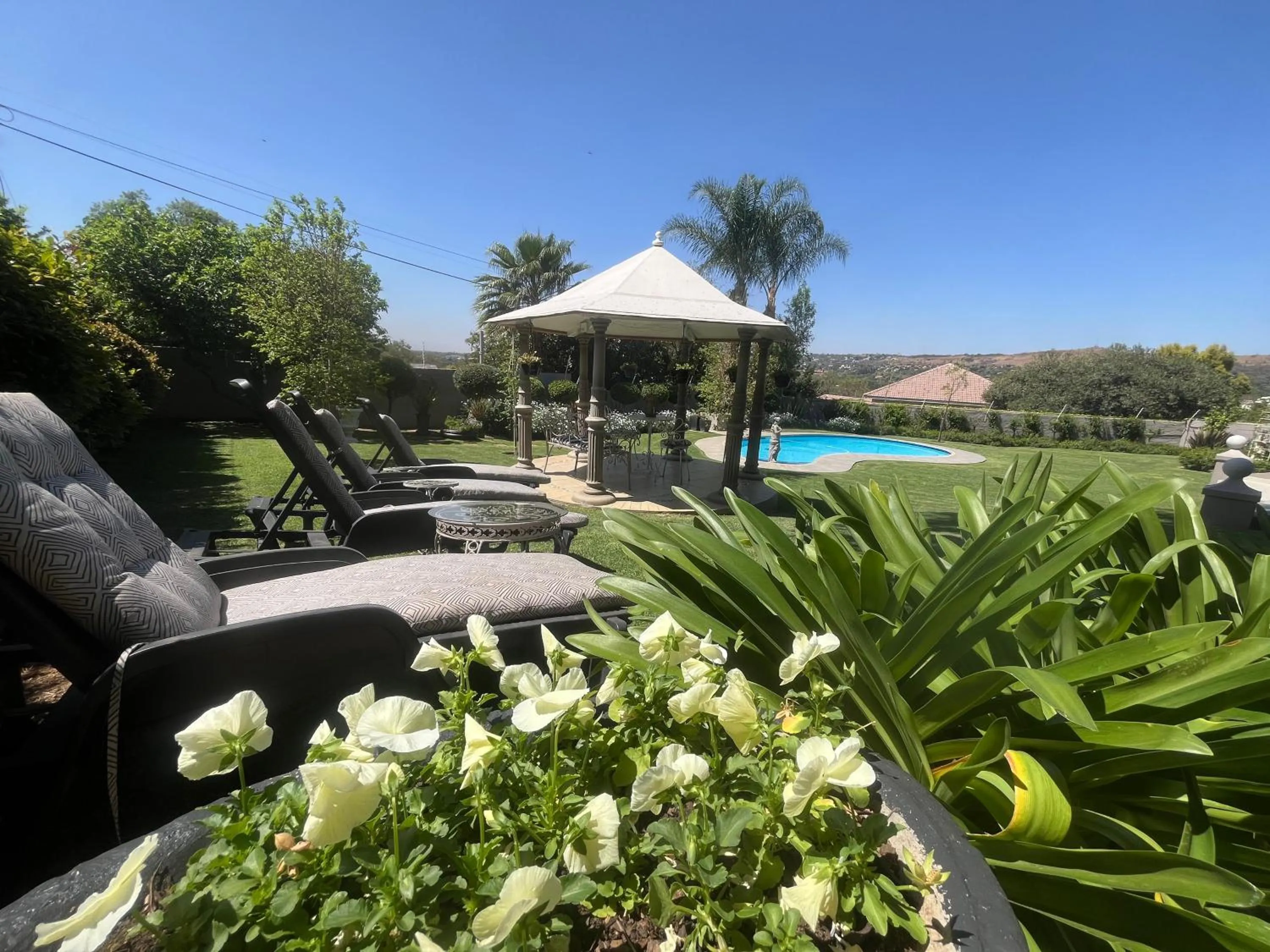 Garden in La Vida Luka - Luxury Guesthouse