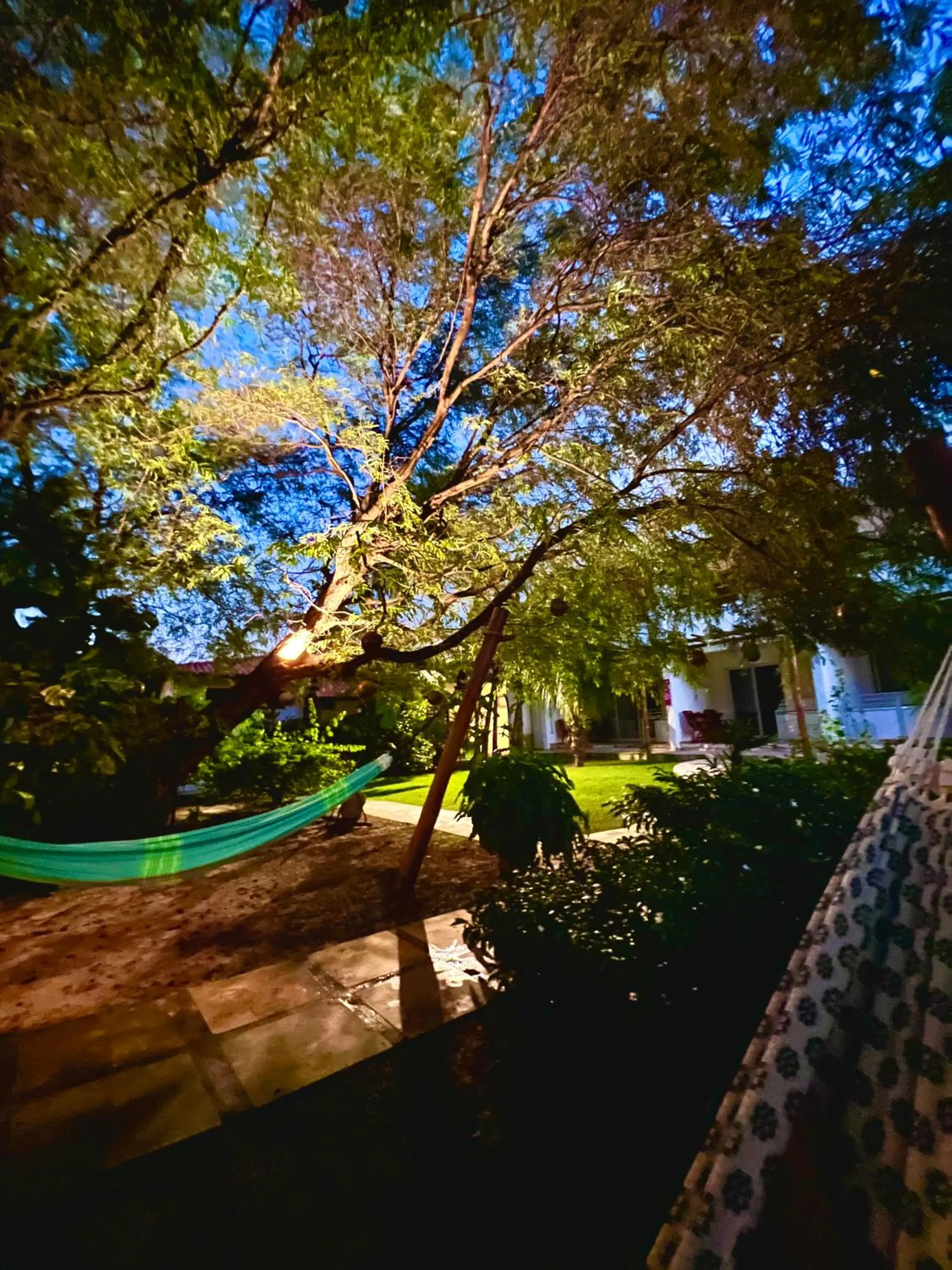 Garden in Tucano Pousada