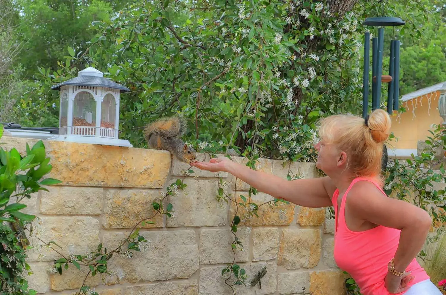 Rarumpelpunzeldornaschenwittchen