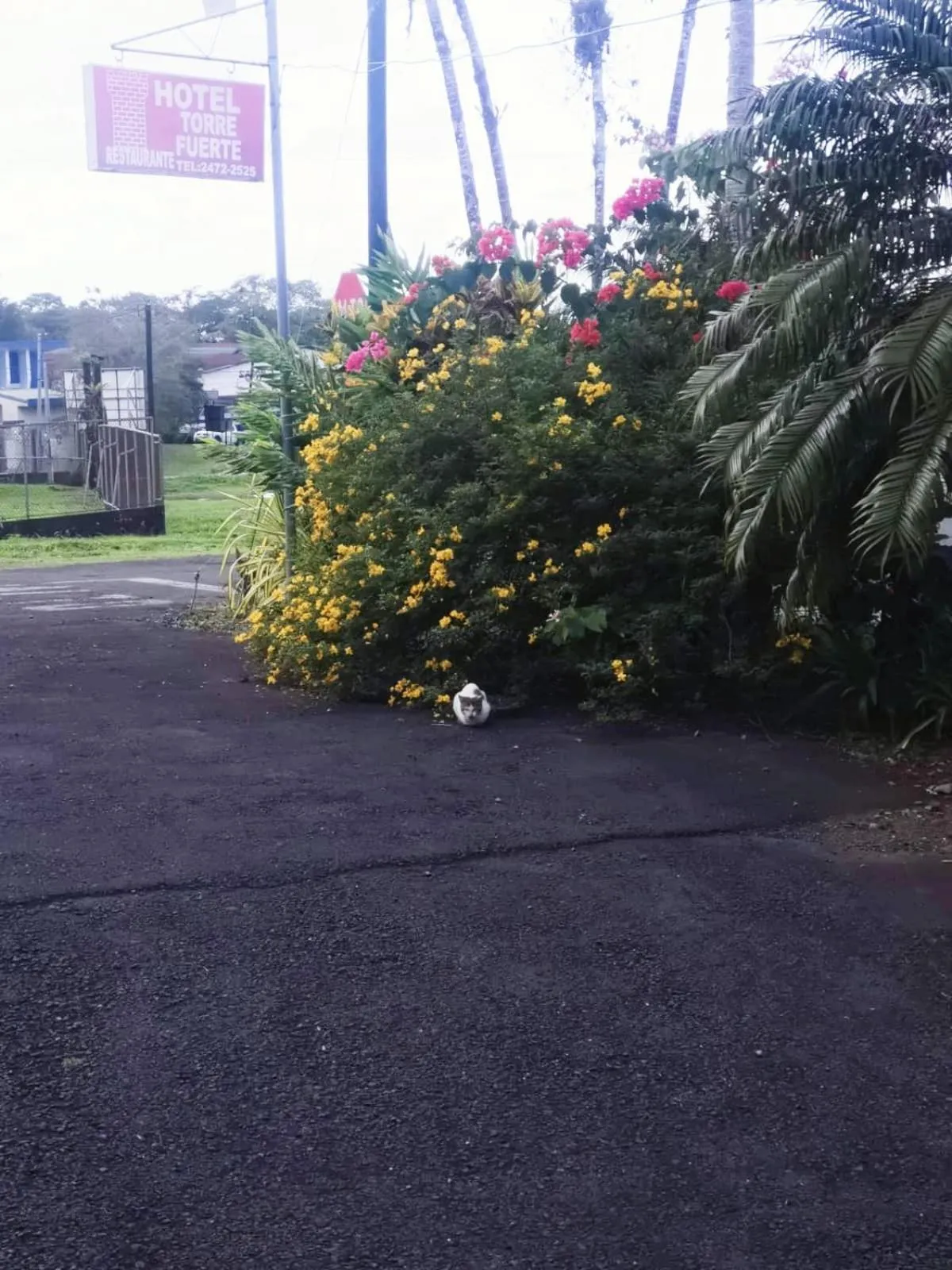 Day in Hotel Torre Fuerte