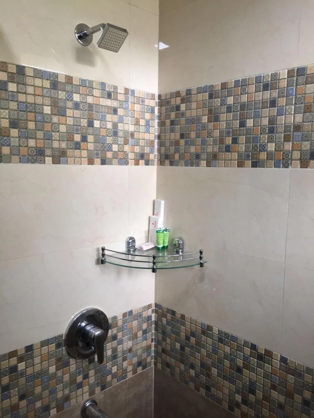 Shower in Pamposh Guest House GK II Market