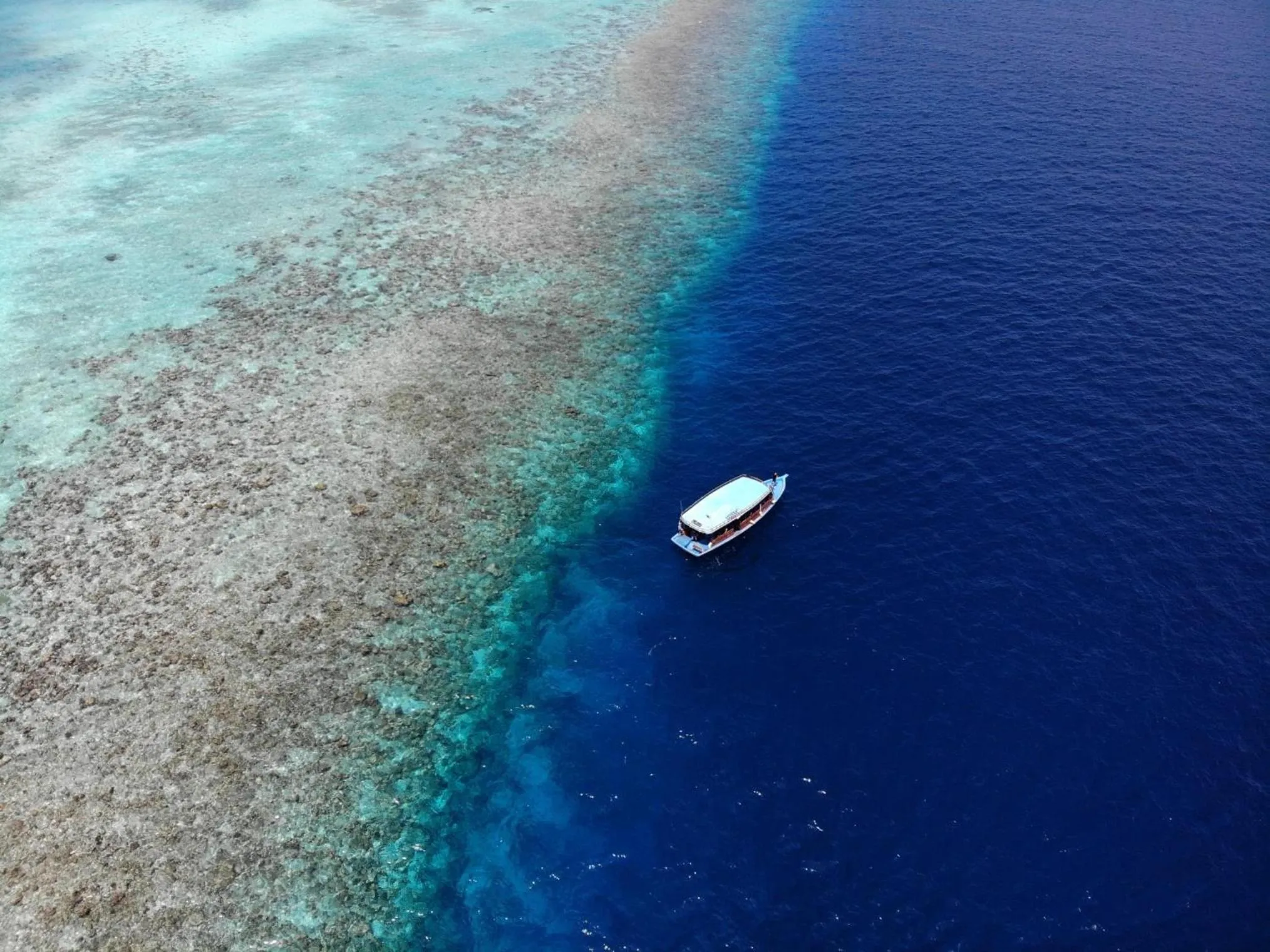 Activities in Kiha Beach