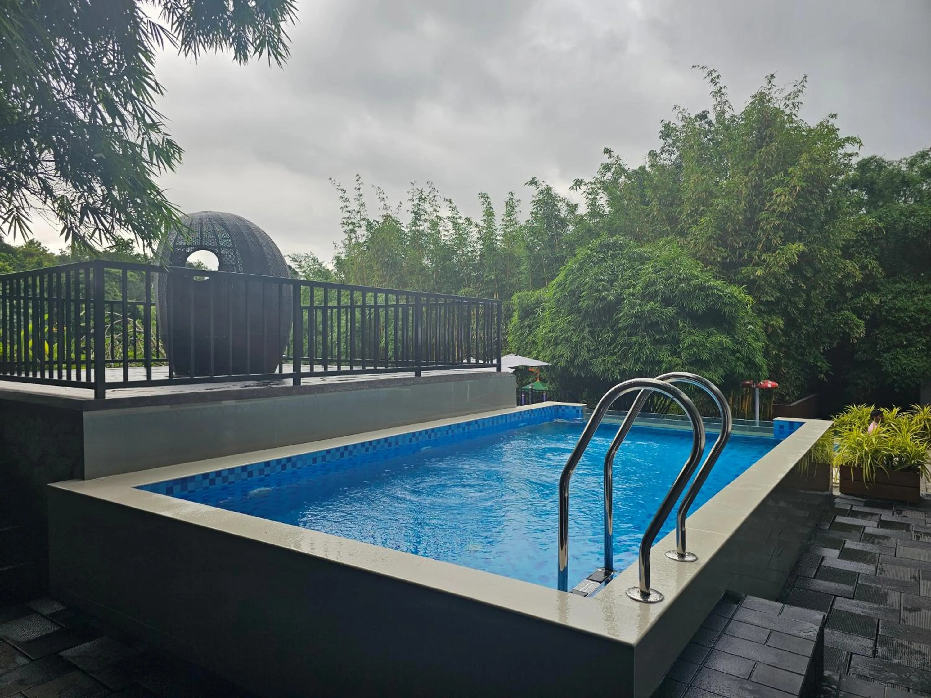 Athirapally Green Trees