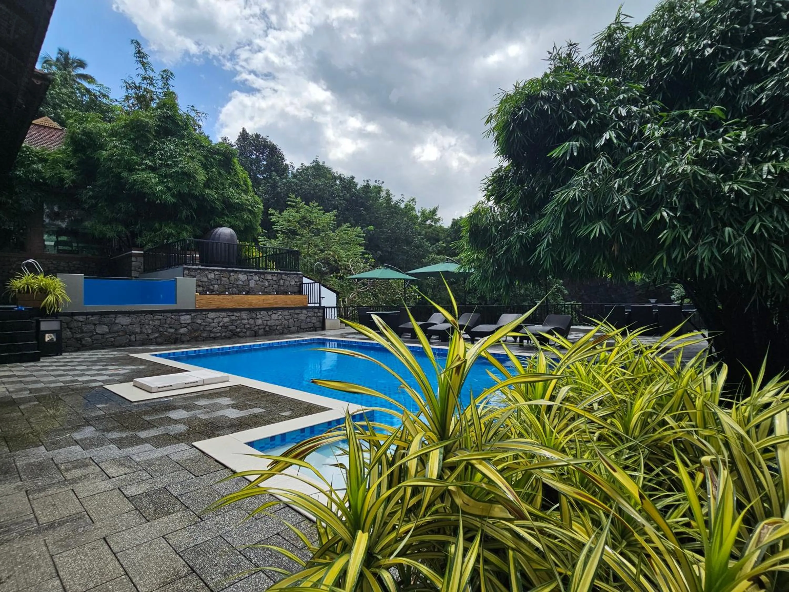 Swimming pool in Athirapally Green Trees