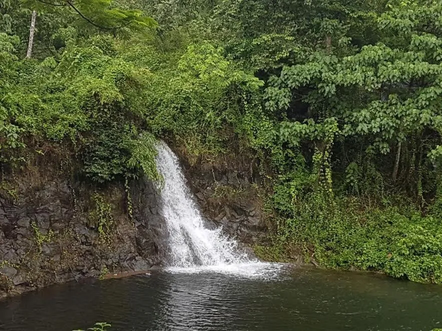 Nearby landmark in Athirapally Green Trees