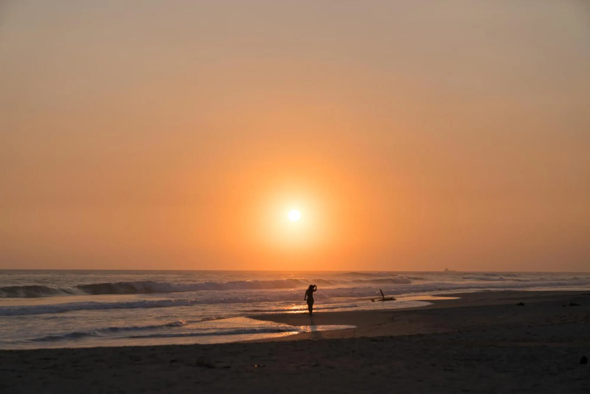 People in Bieshu Beach Hive