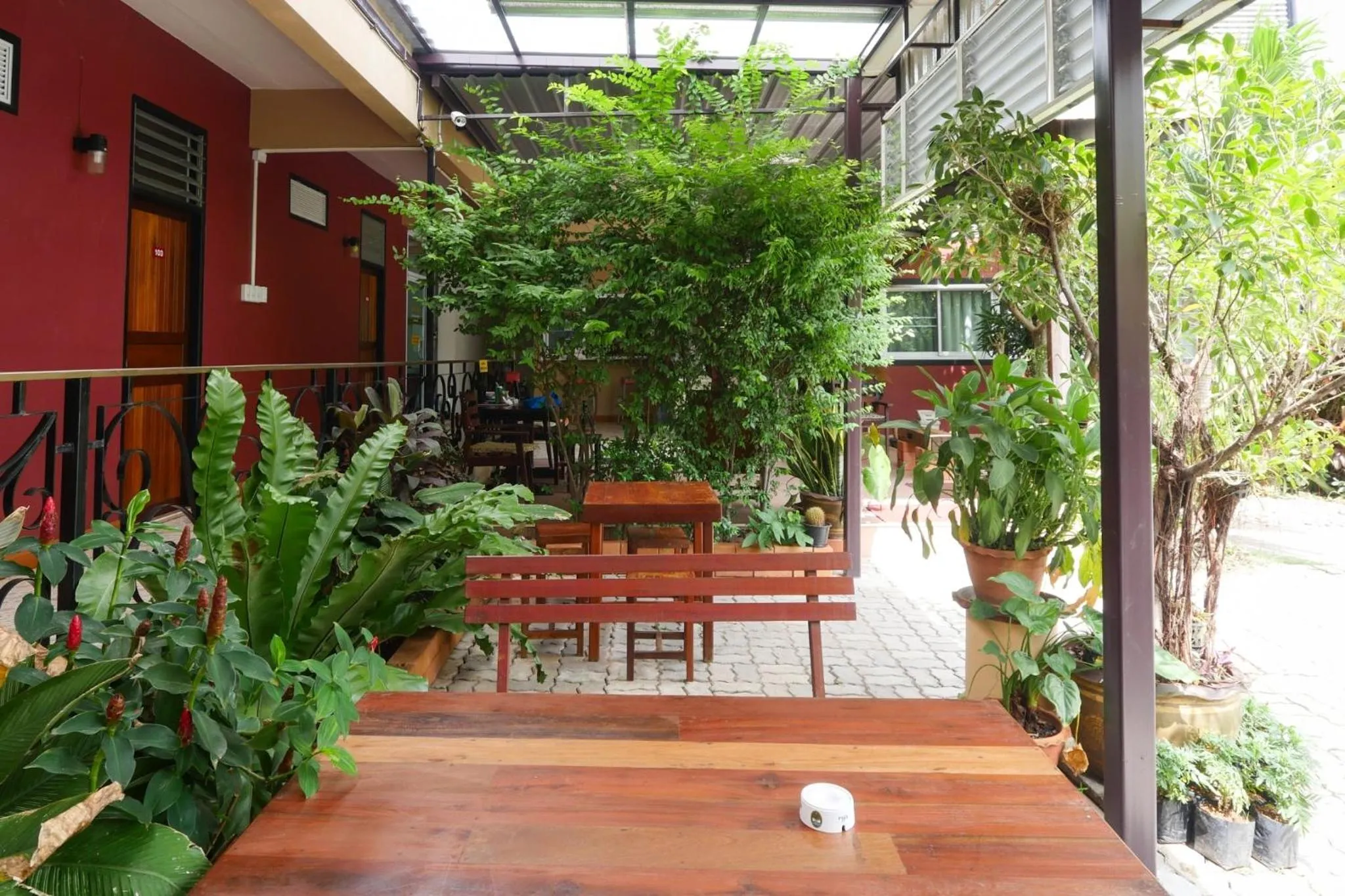 Garden in Pakdee House