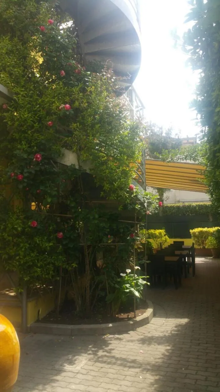 Garden in Hotel ILLI