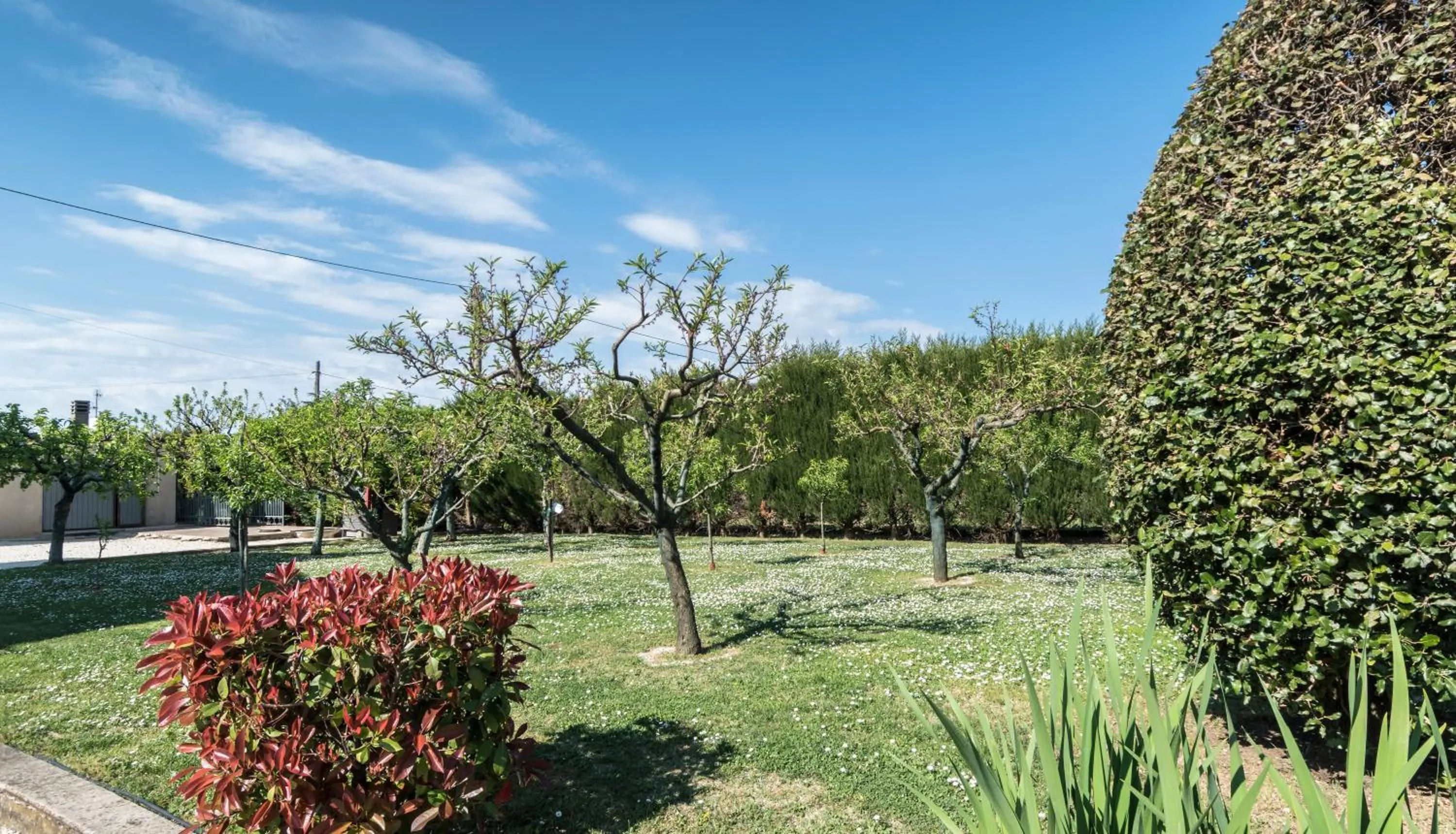 Property building in Camere Mariella