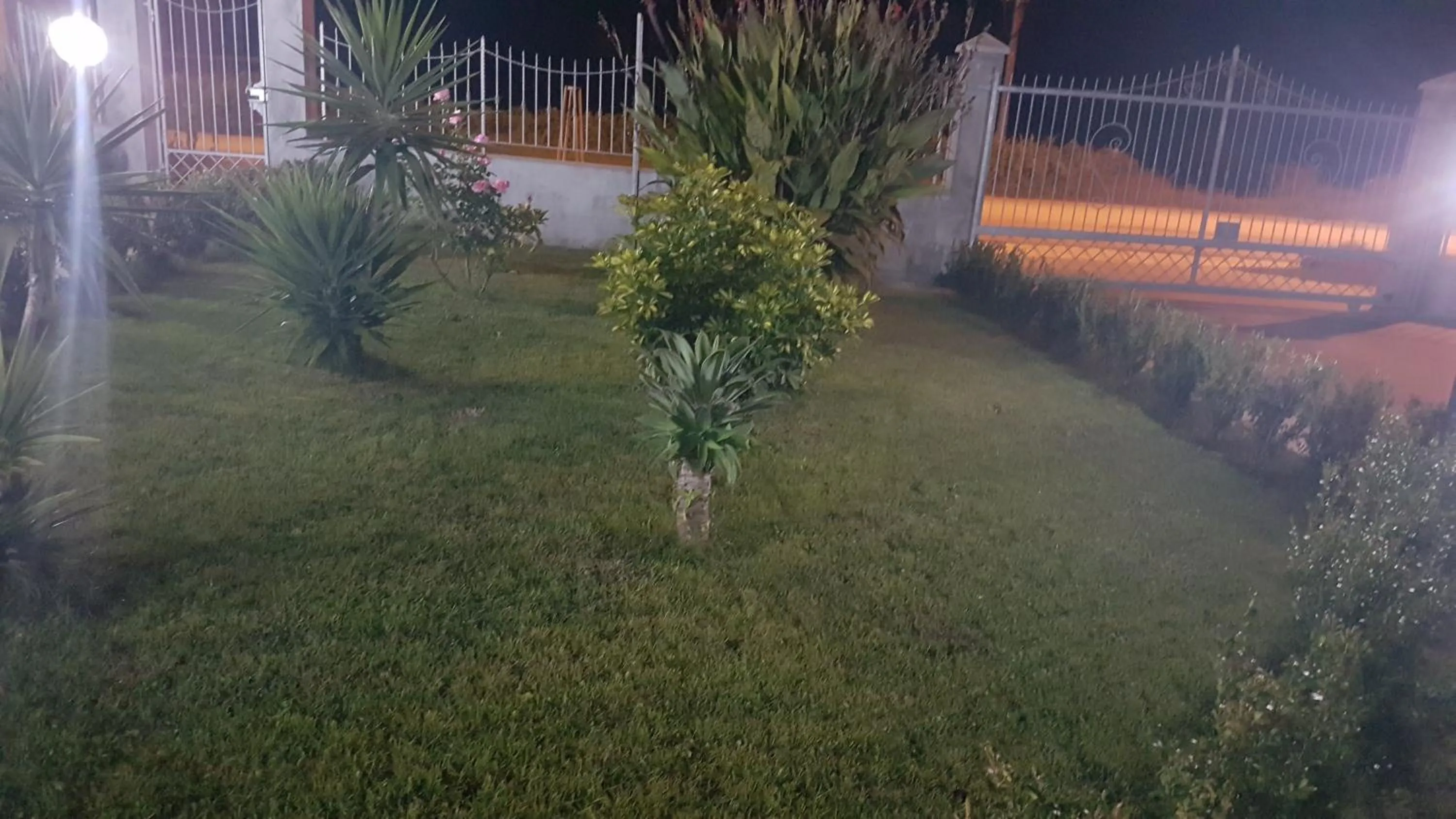 Garden view in B&B Villa Eleonora Tropea