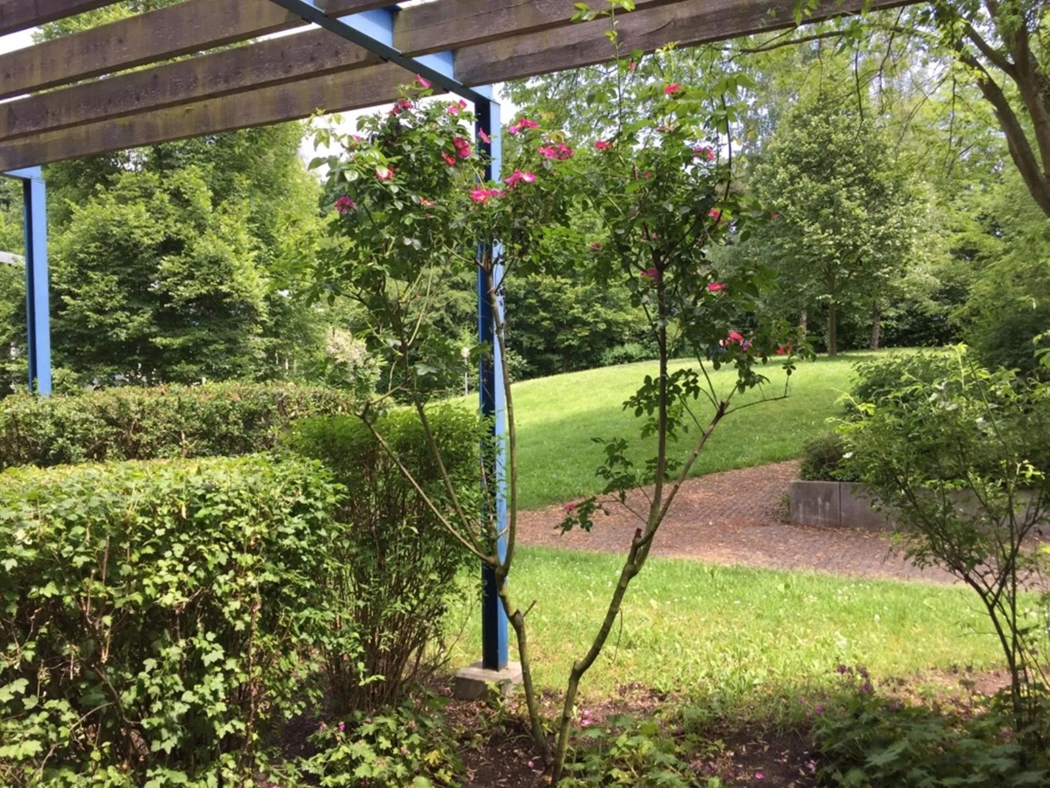Garden view in bfwhotel und Tagungszentrum