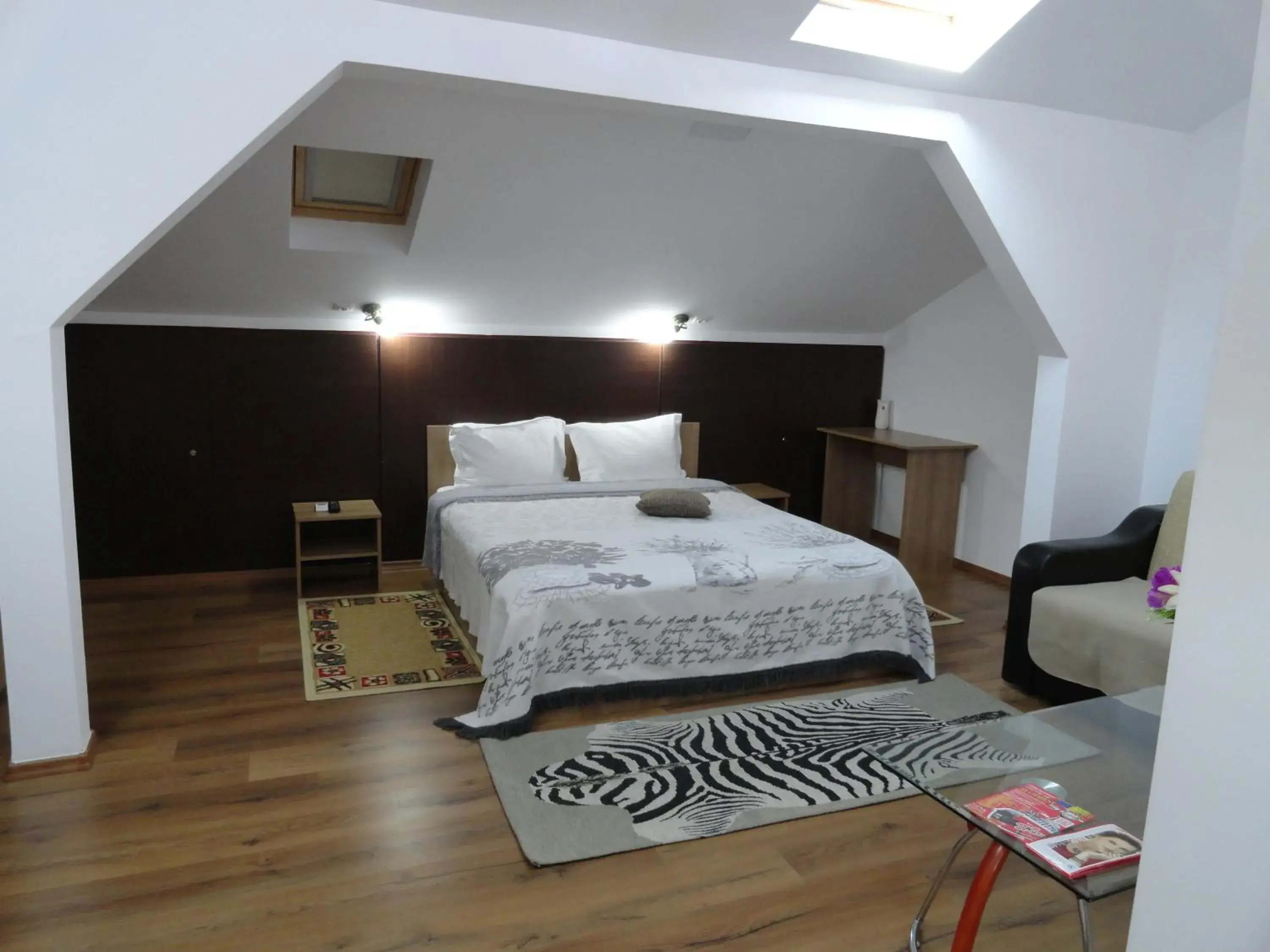 Carmen Studio Carmen Studio