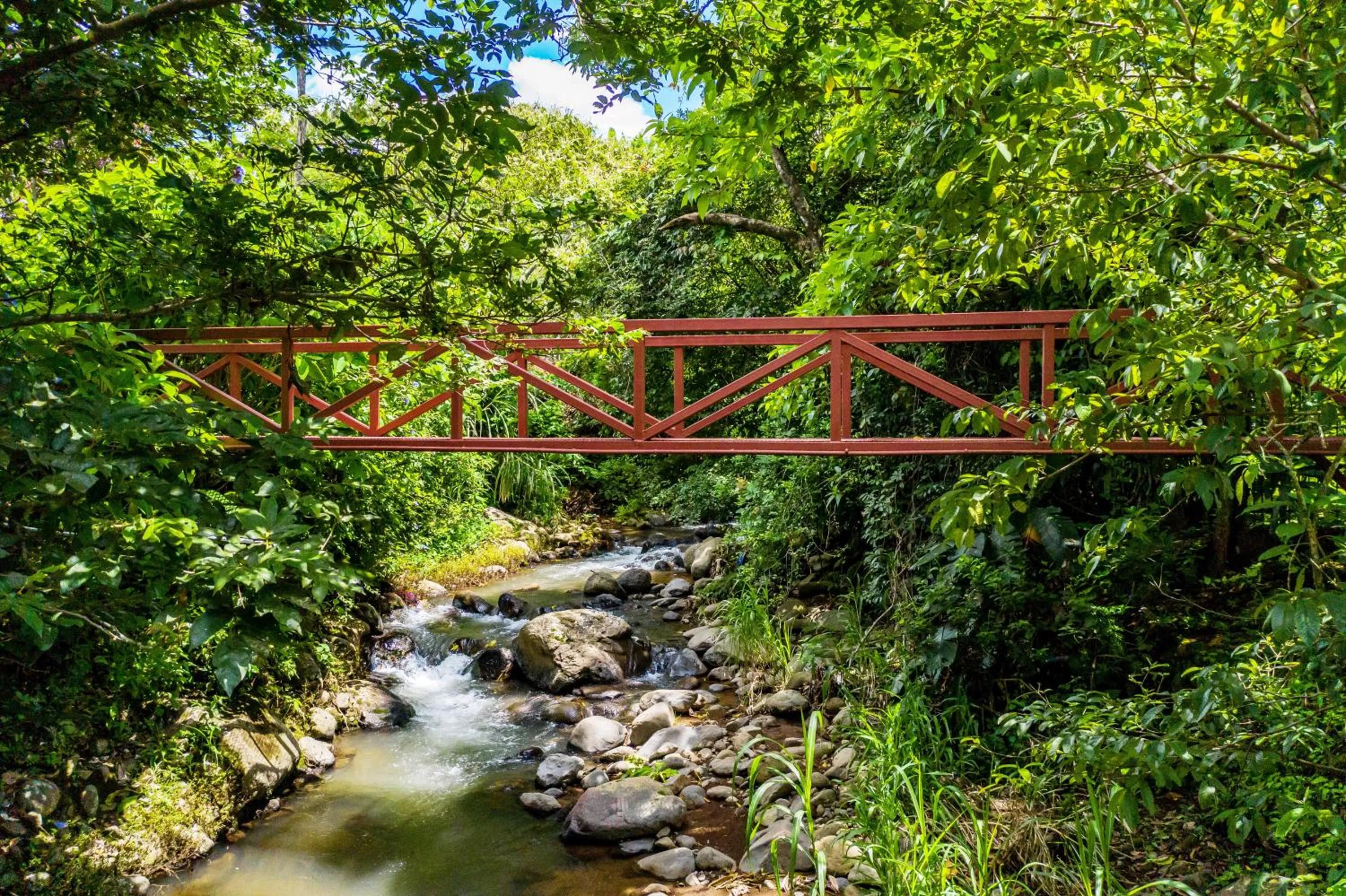 Natural landscape in La Terraza Guest House B&B