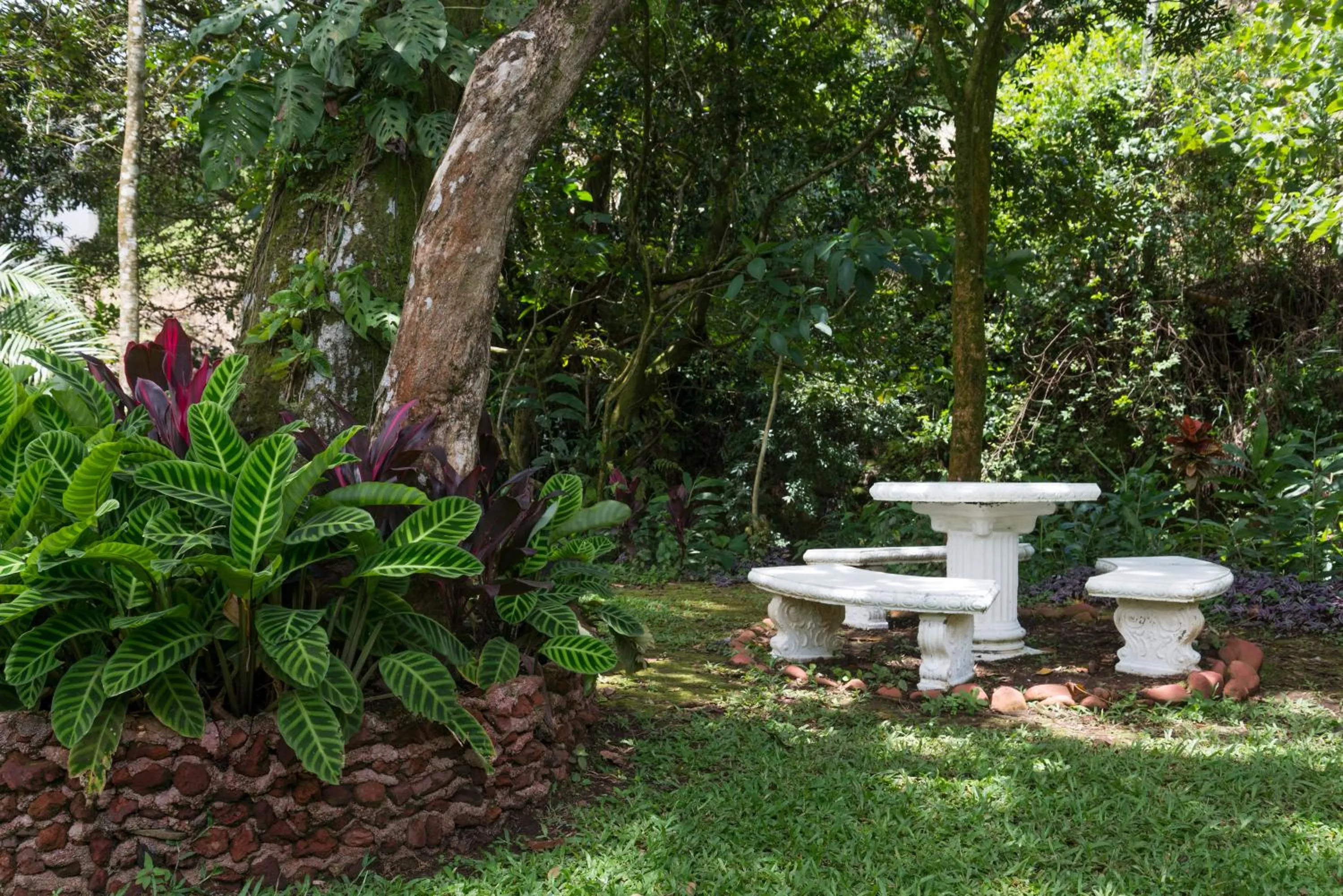 Garden in La Terraza Guest House B&B