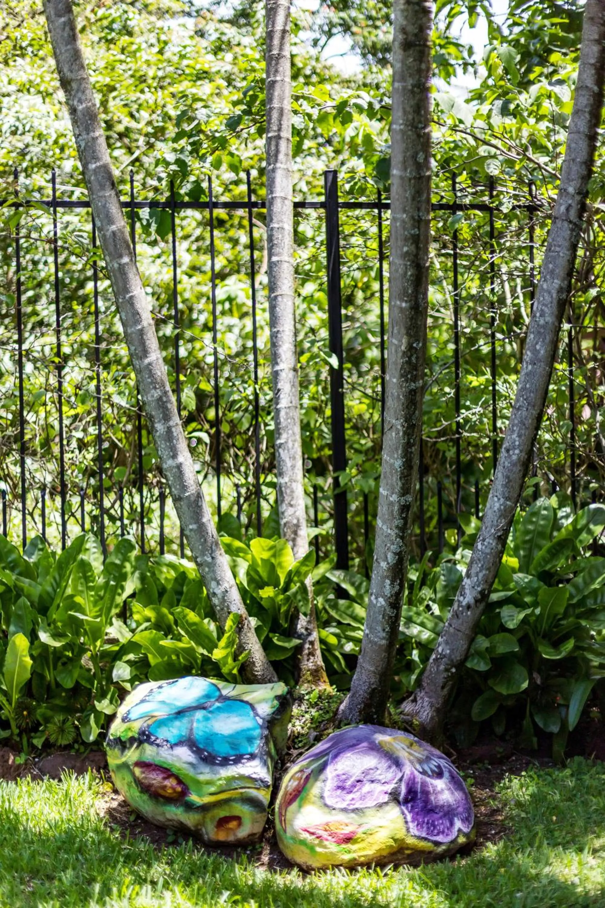 Garden in La Terraza Guest House B&B