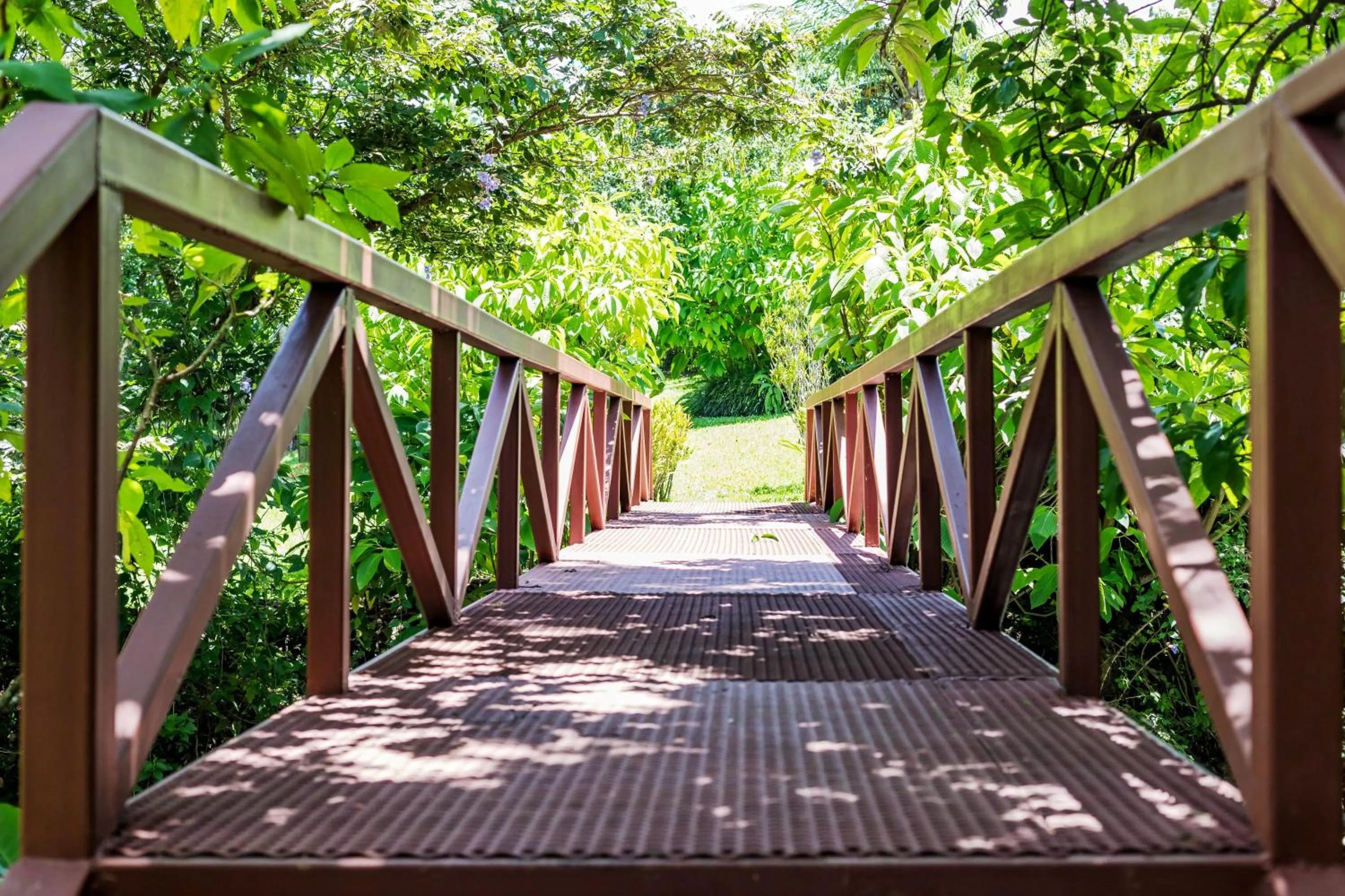 Garden in La Terraza Guest House B&B