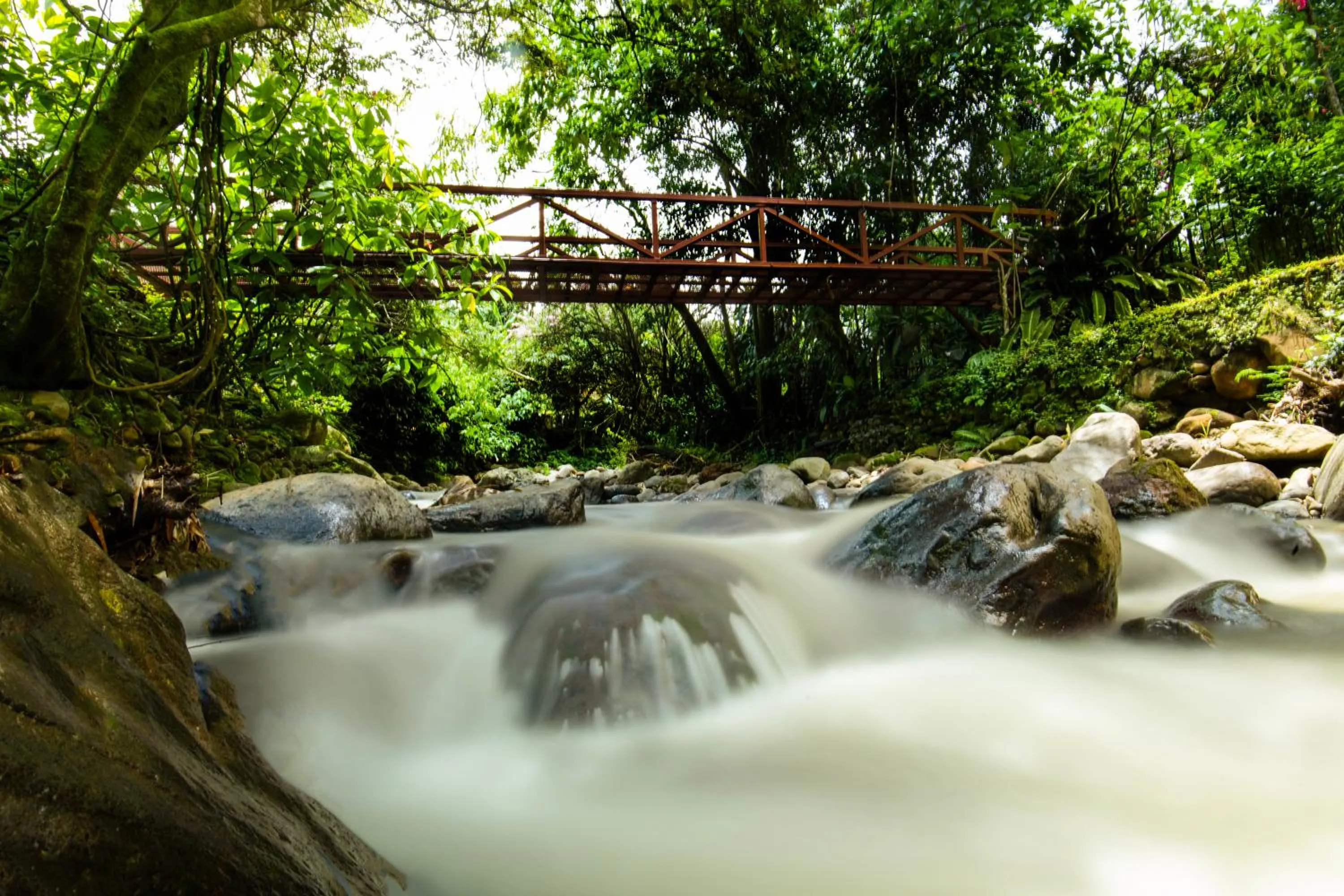 La Terraza Guest House B&B