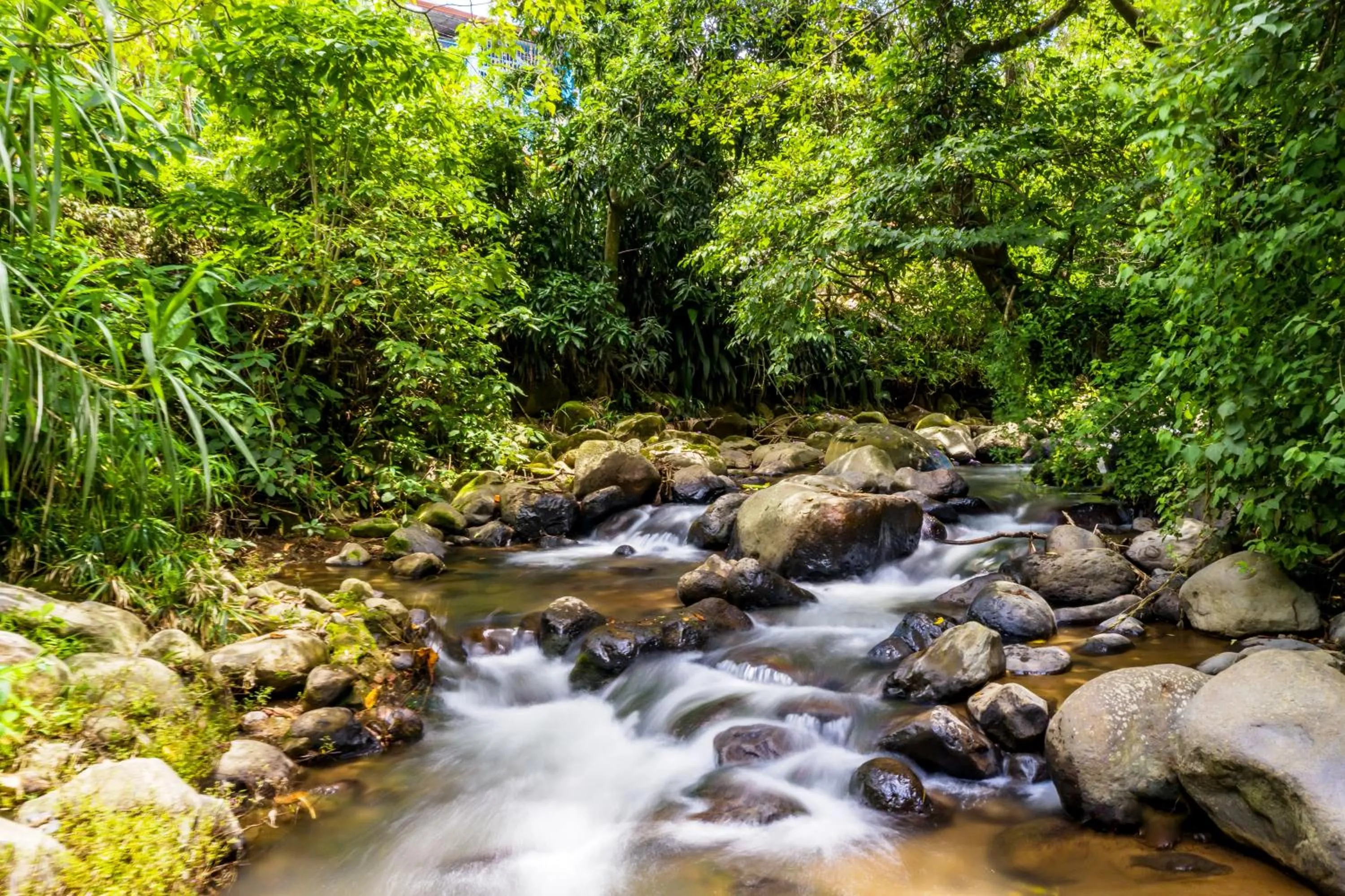 Natural landscape in La Terraza Guest House B&B