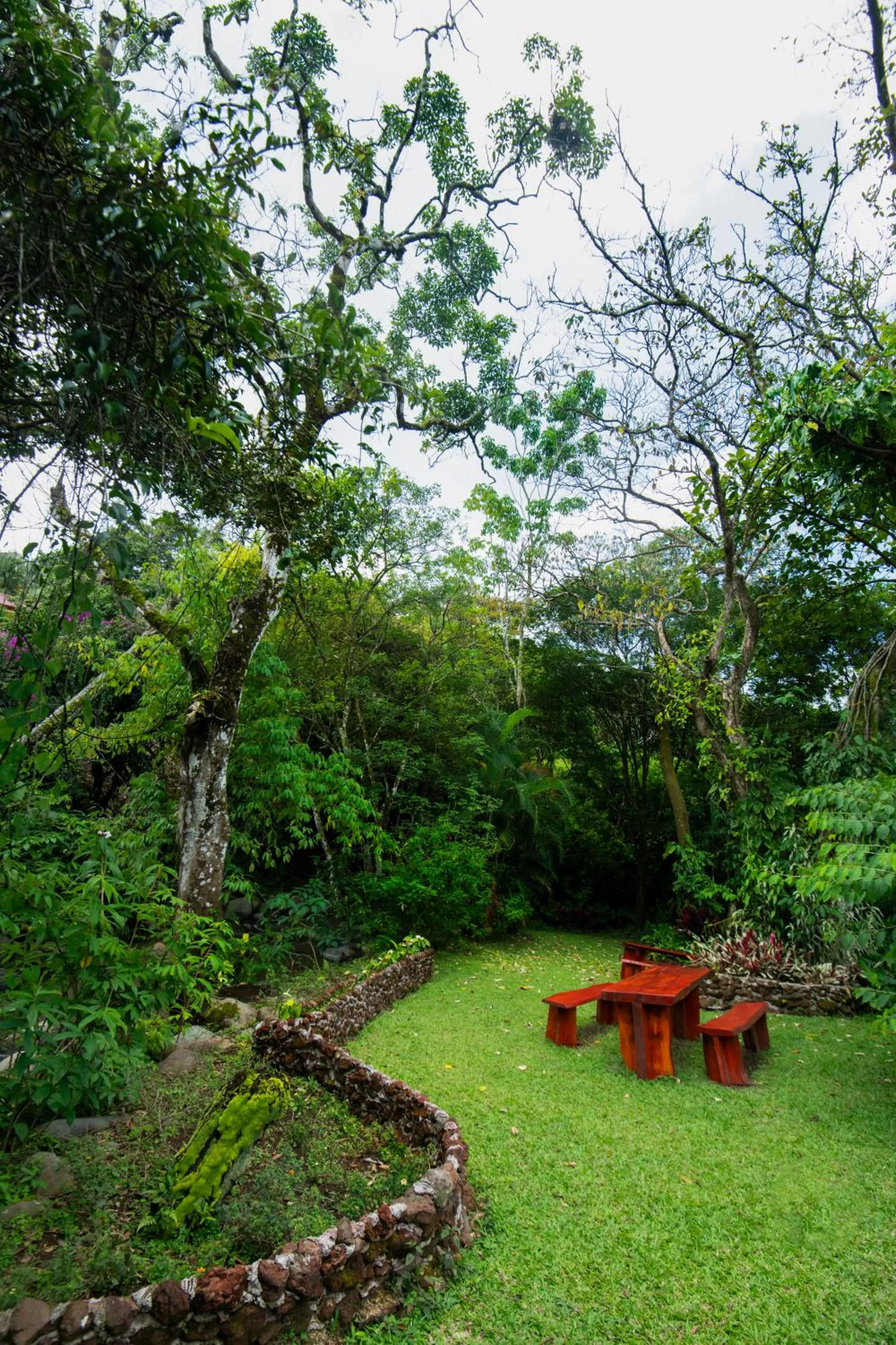 La Terraza Guest House B&B