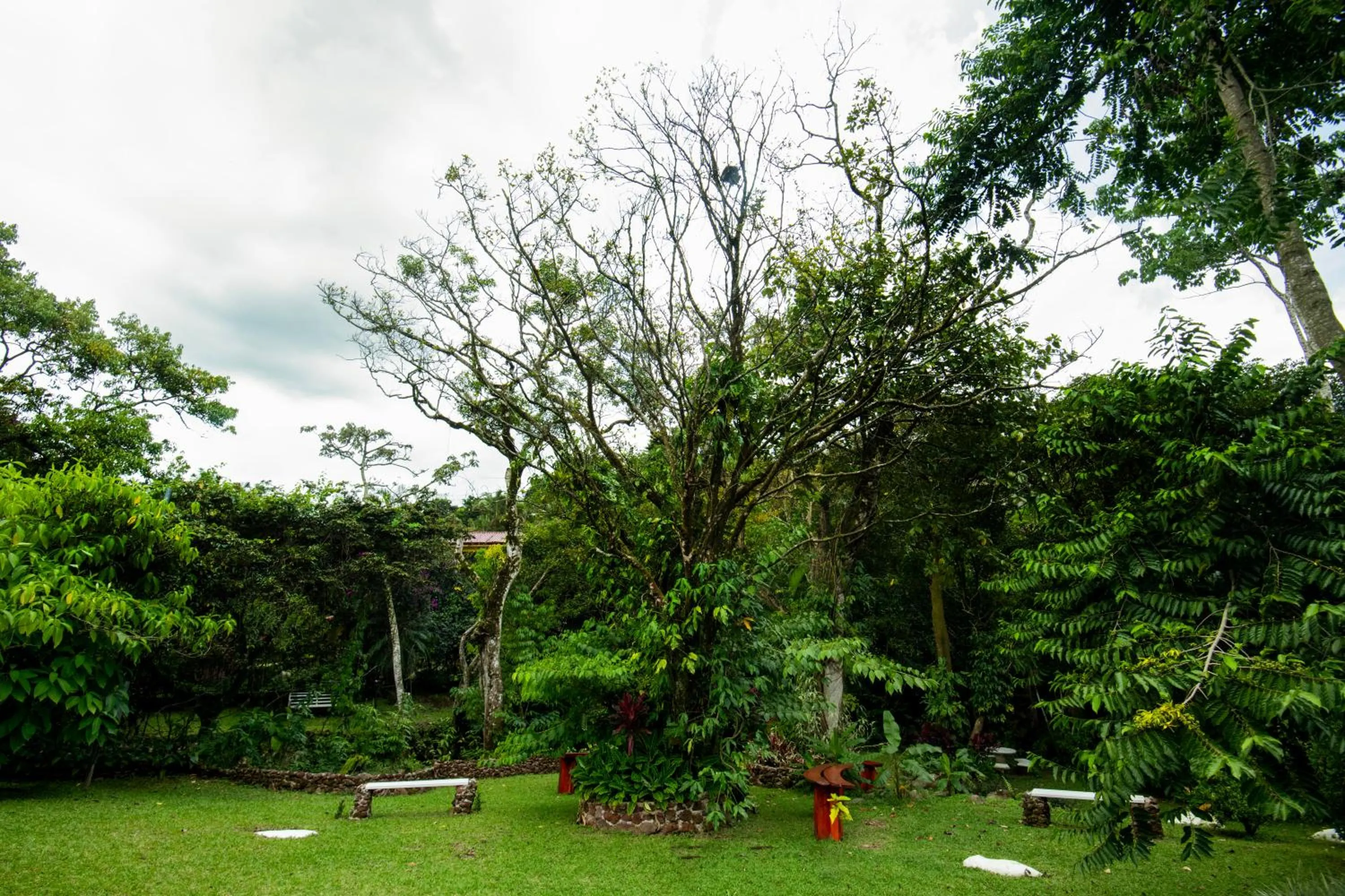 La Terraza Guest House B&B