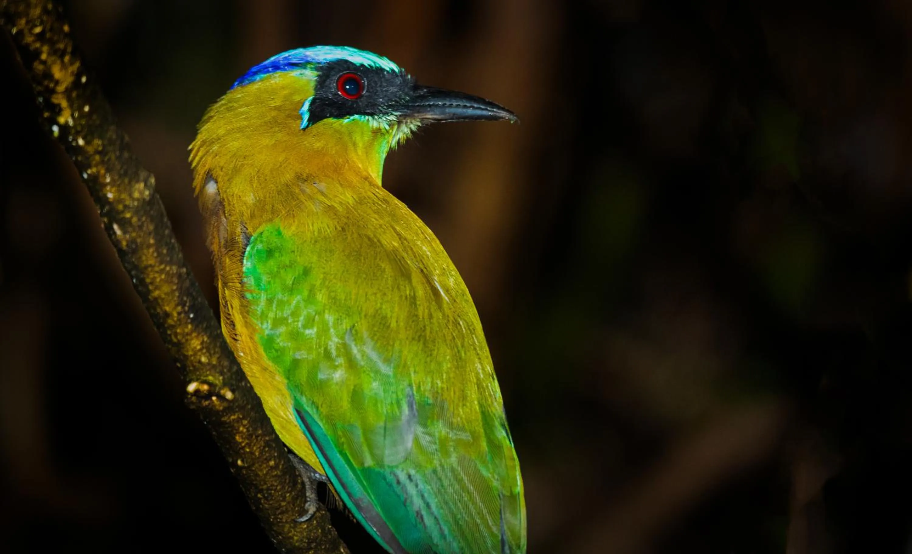 La Terraza Guest House B&B