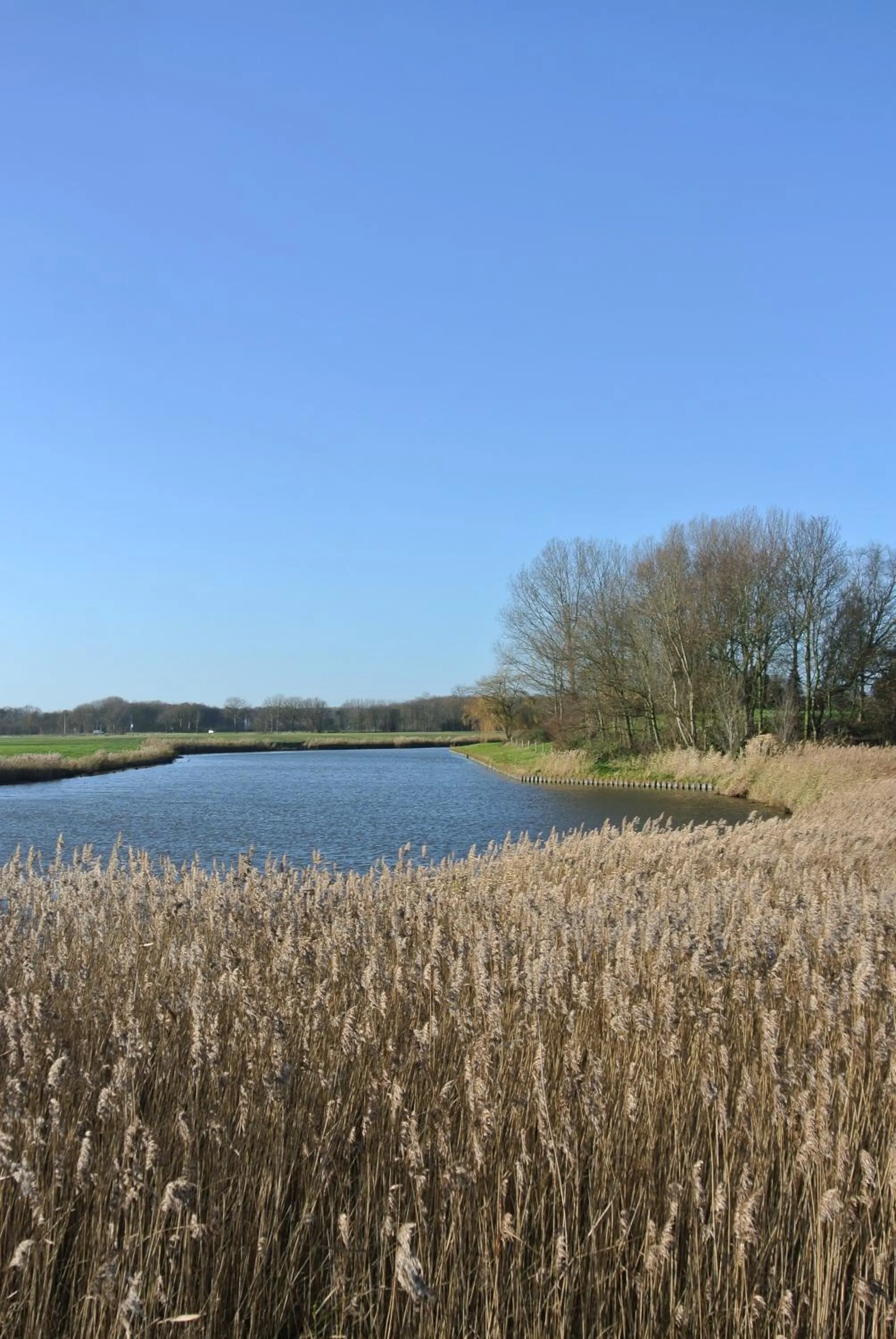 Neighbourhood in B&B Veers Buuten