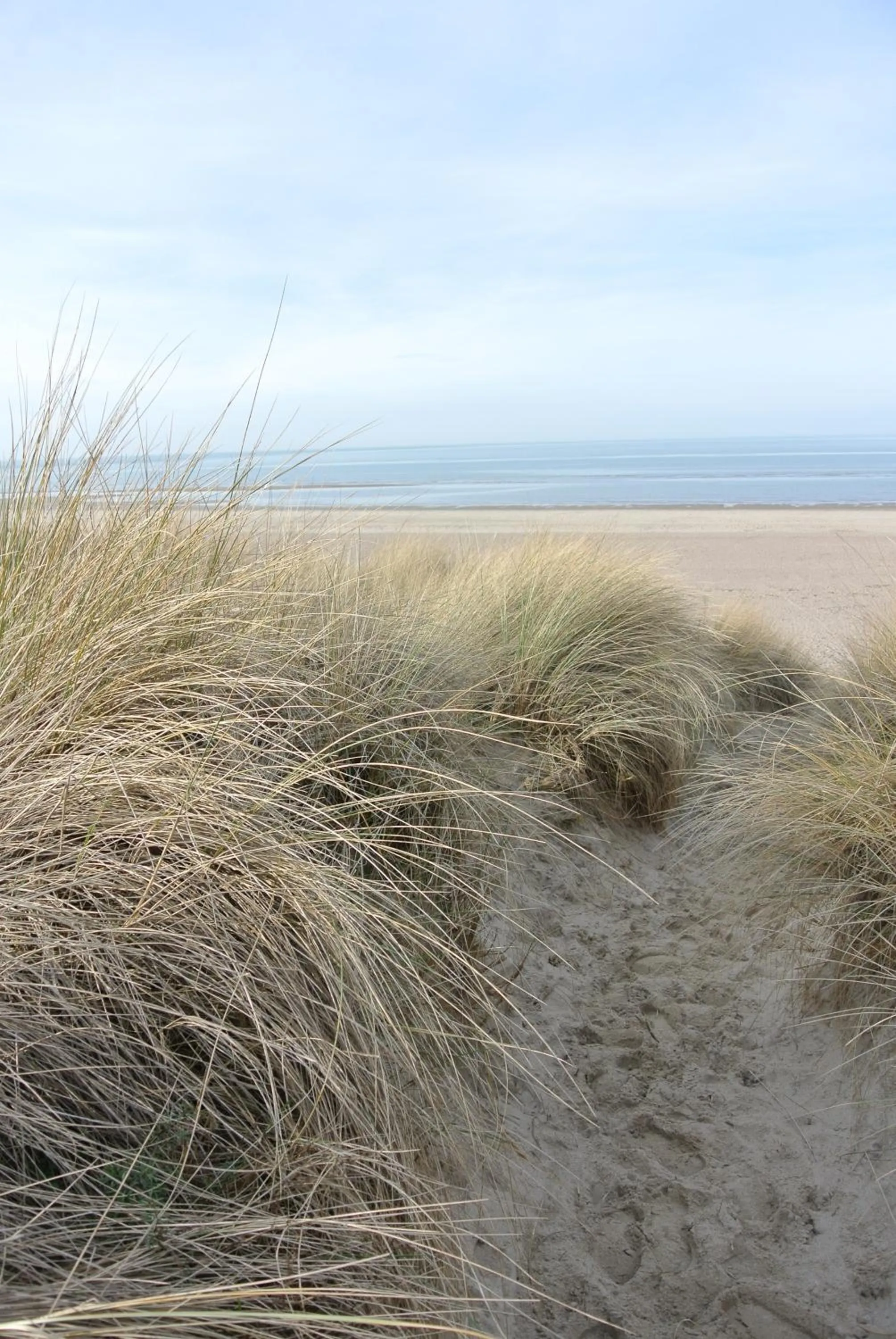Beach in B&B Veers Buuten