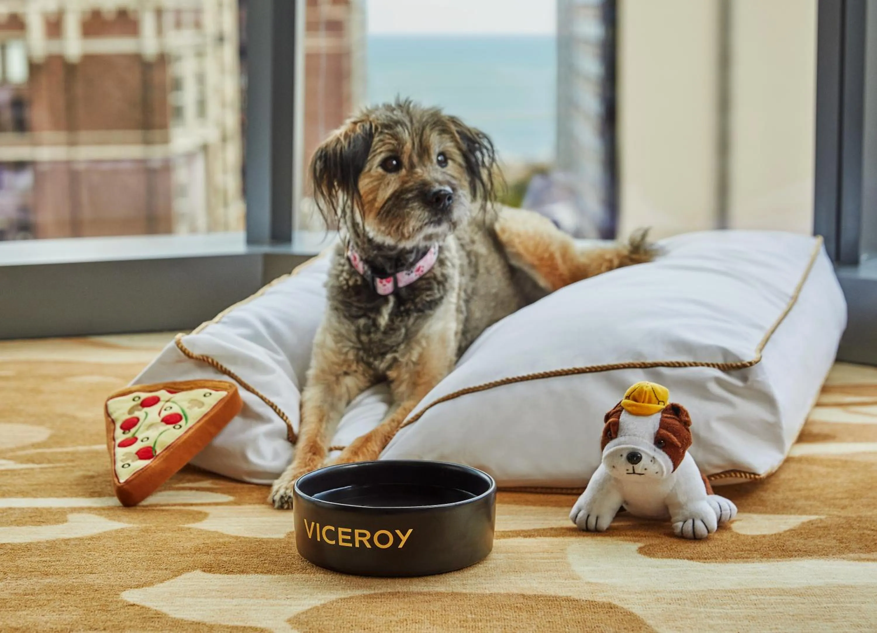 Pets in Viceroy Chicago