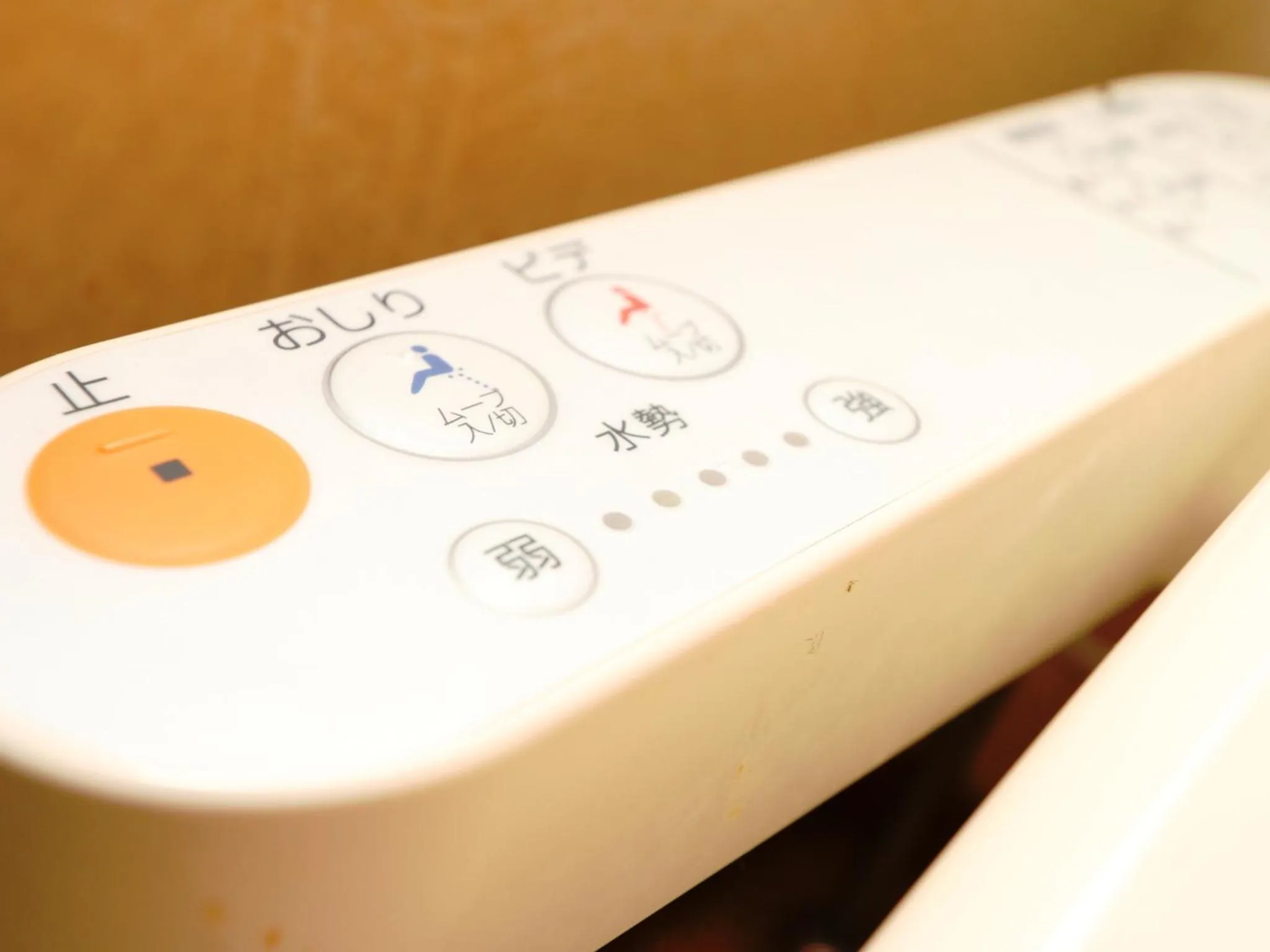 Area and facilities in Minshuku Kojima