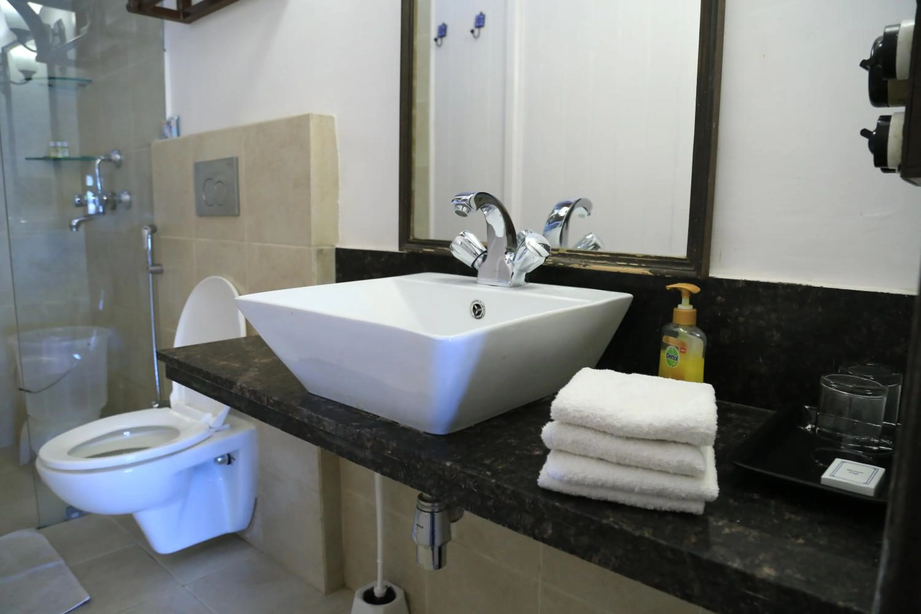 Bathroom in Raghu Vilas