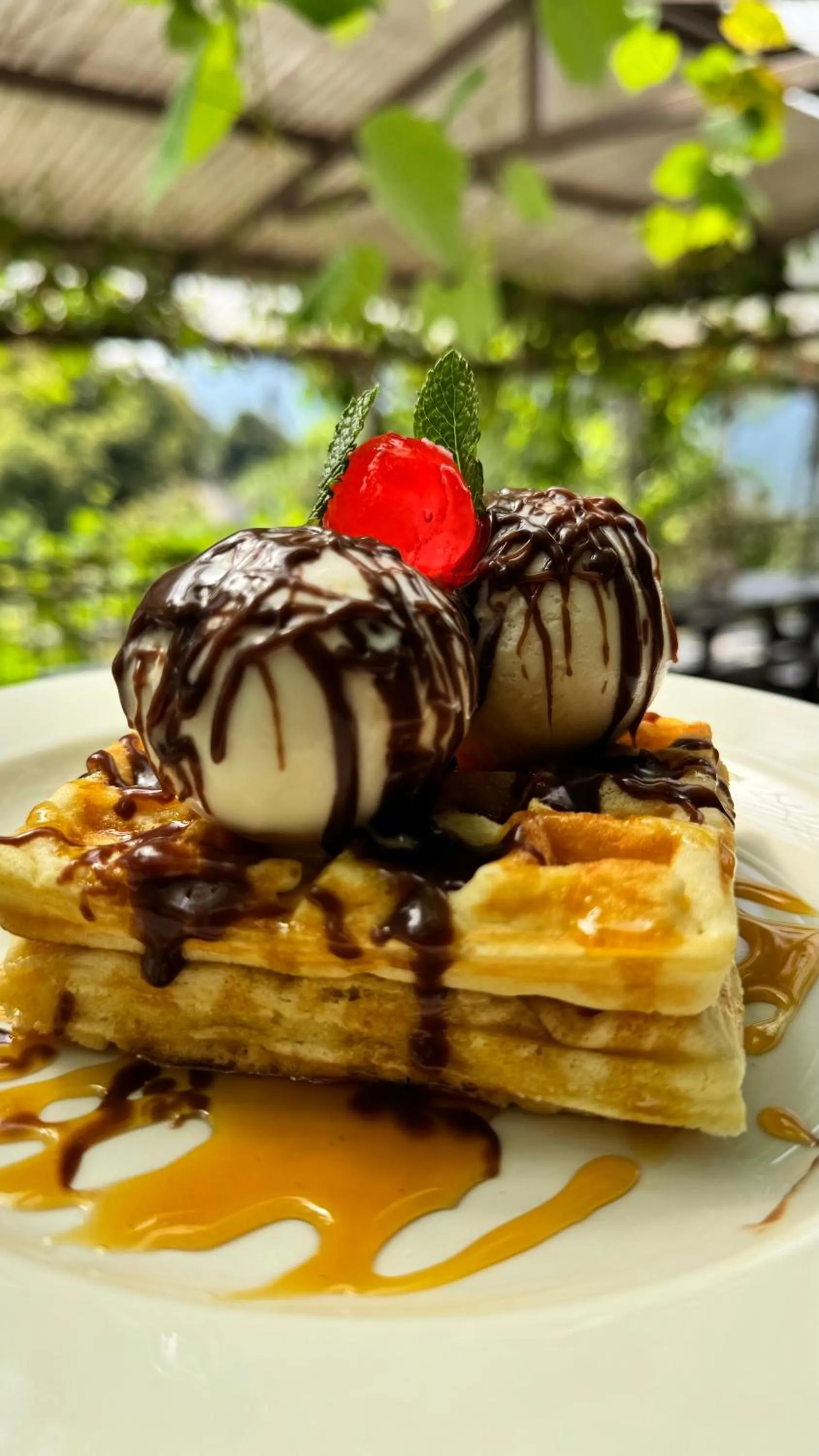 Food in Magoebaskloof Mountain Lodge