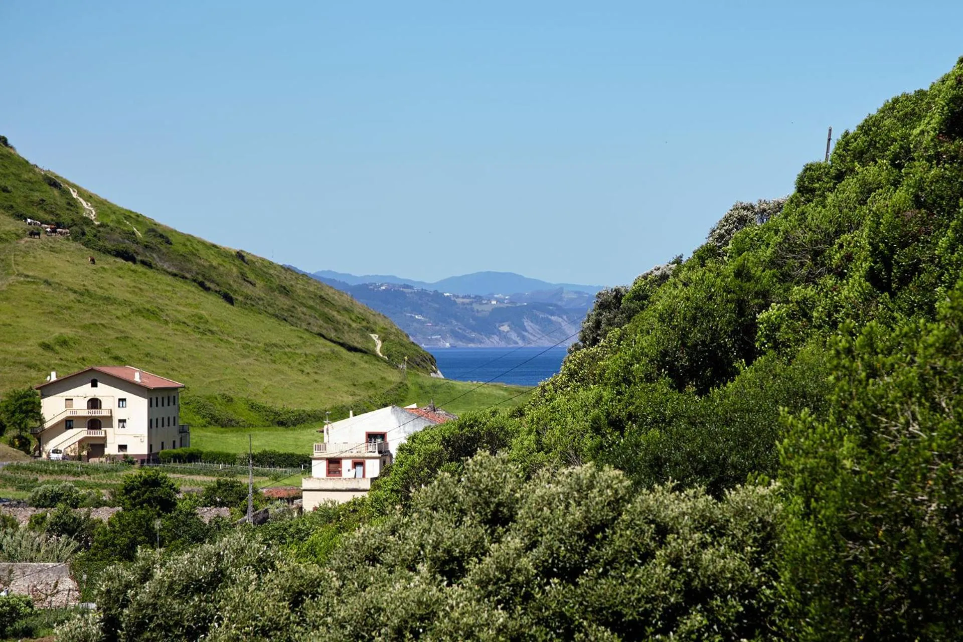 Property building in Hotel Flysch