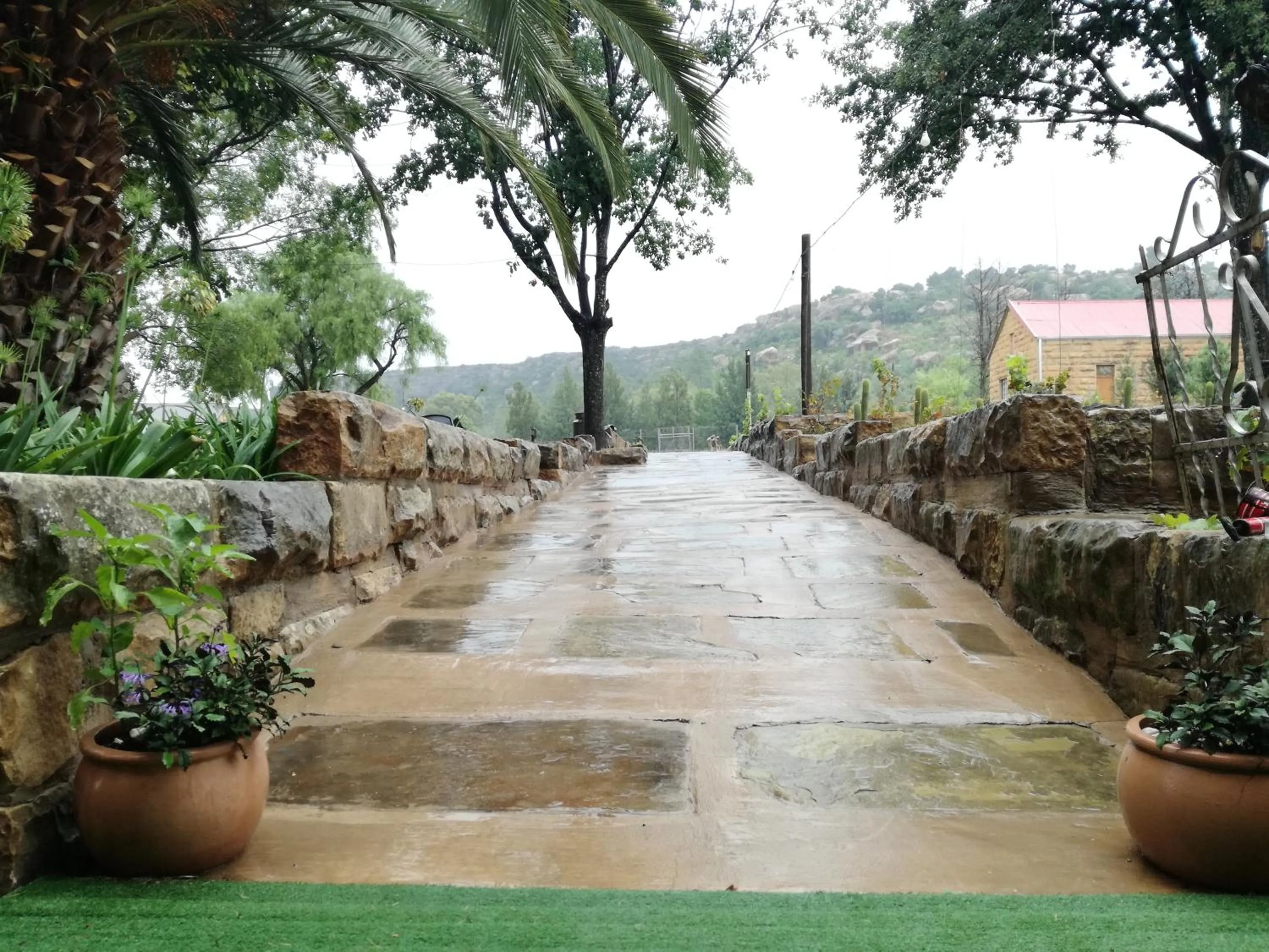 Garden in Ladybrand Heritage House