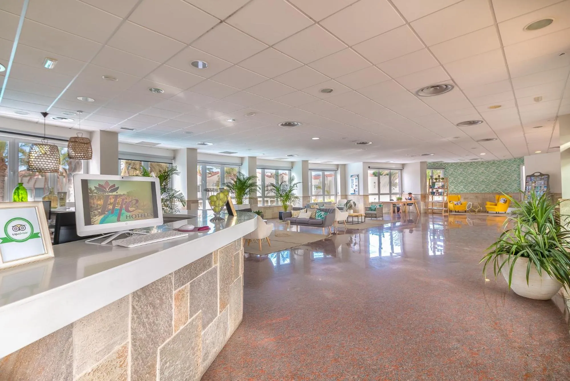 Lobby or reception in Hotel LIVVO Koala Garden