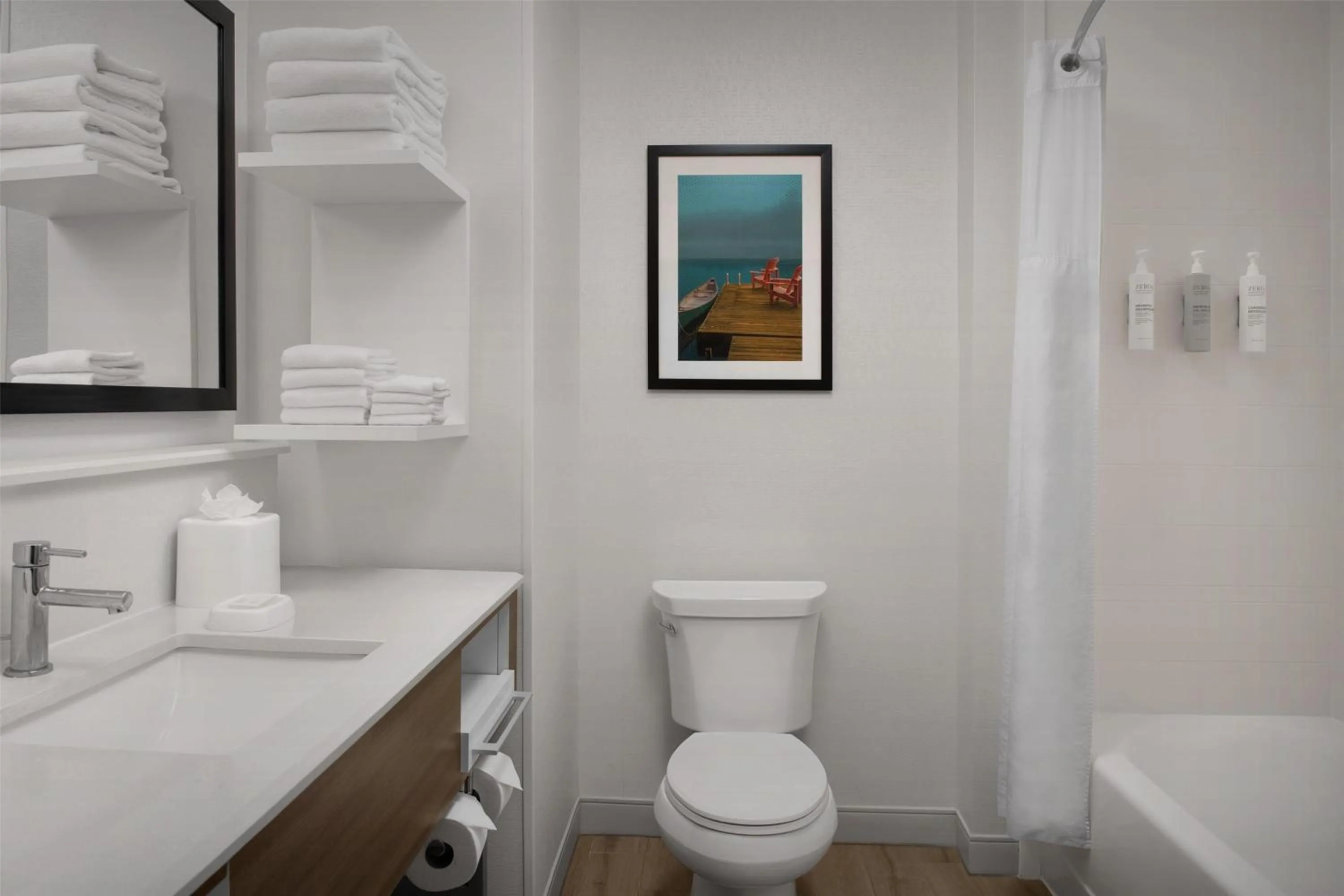 Bathroom in Hampton Inn & Suites Walterboro