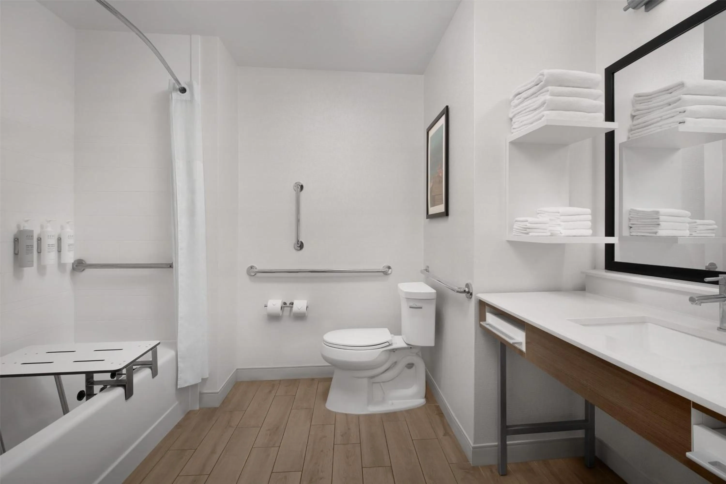 Bathroom in Hampton Inn & Suites Walterboro