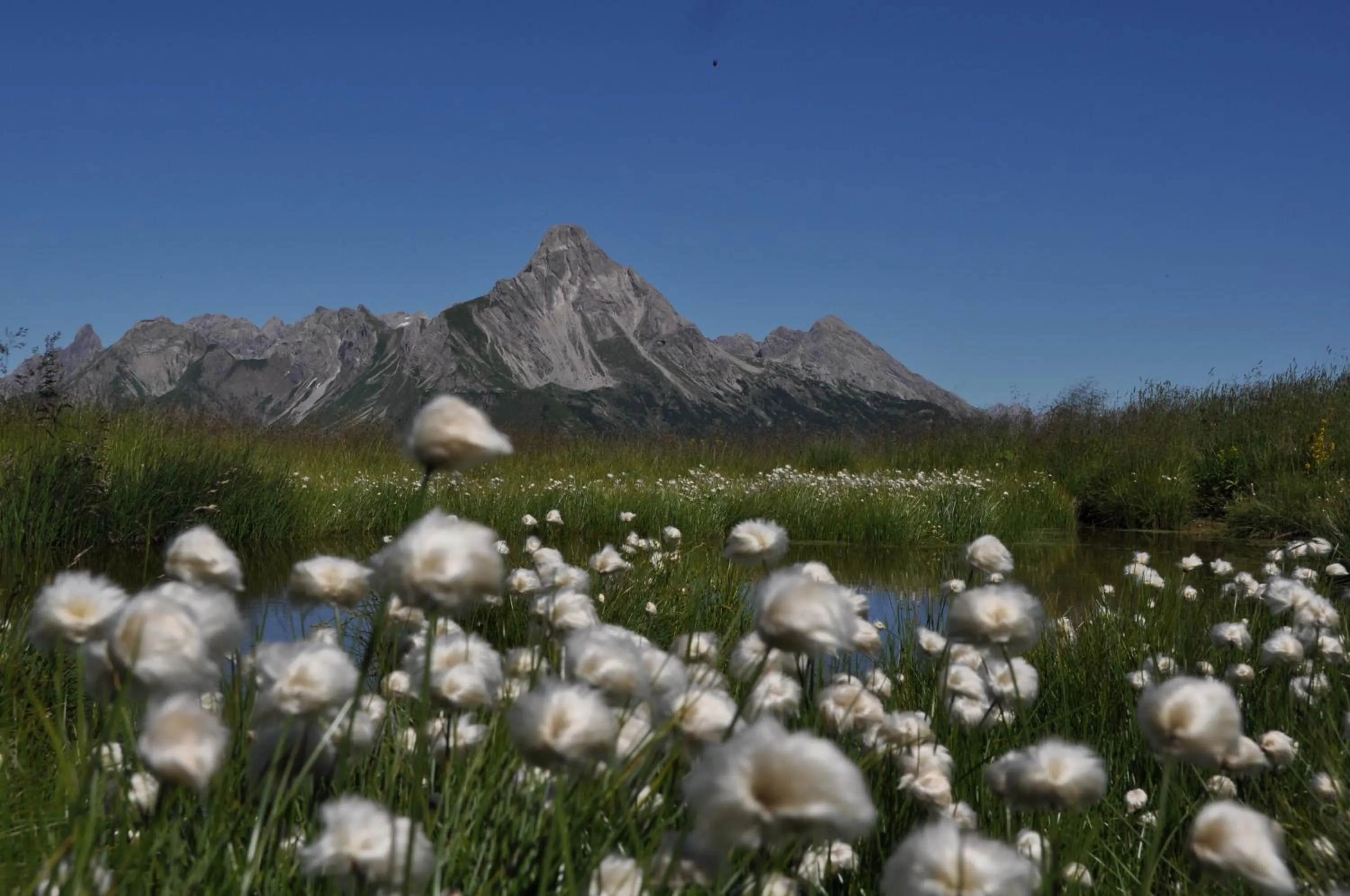 Natural landscape in Bergspitz Luxury Appartement