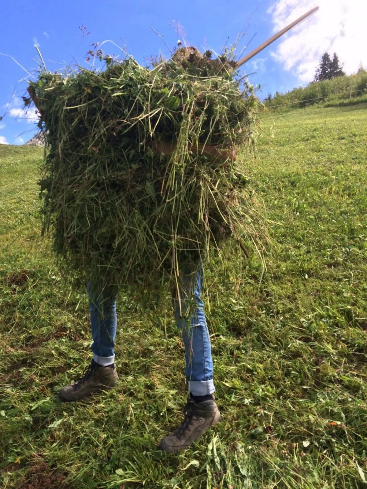 Natural landscape in Bergspitz Luxury Appartement