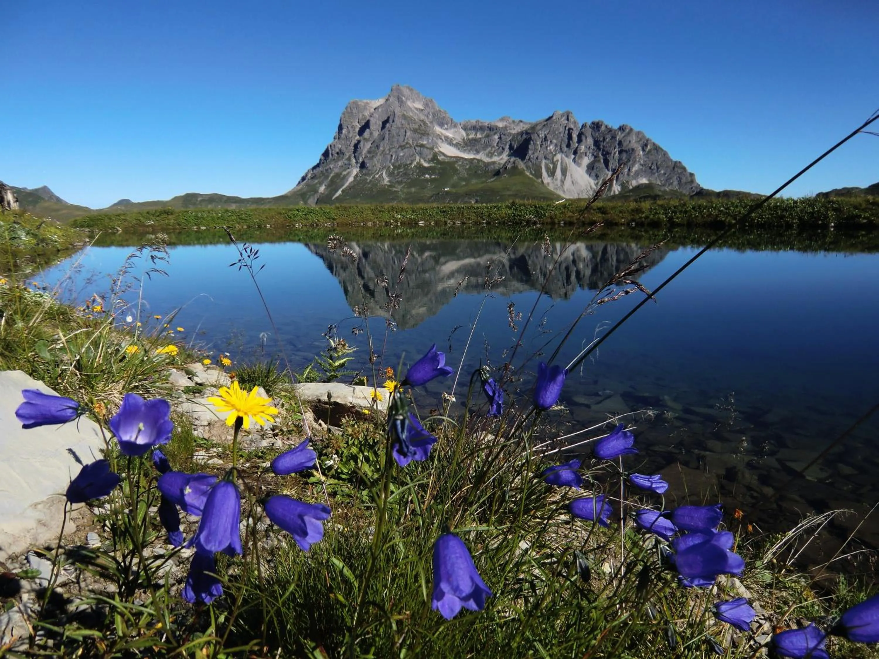 Natural landscape in Bergspitz Luxury Appartement