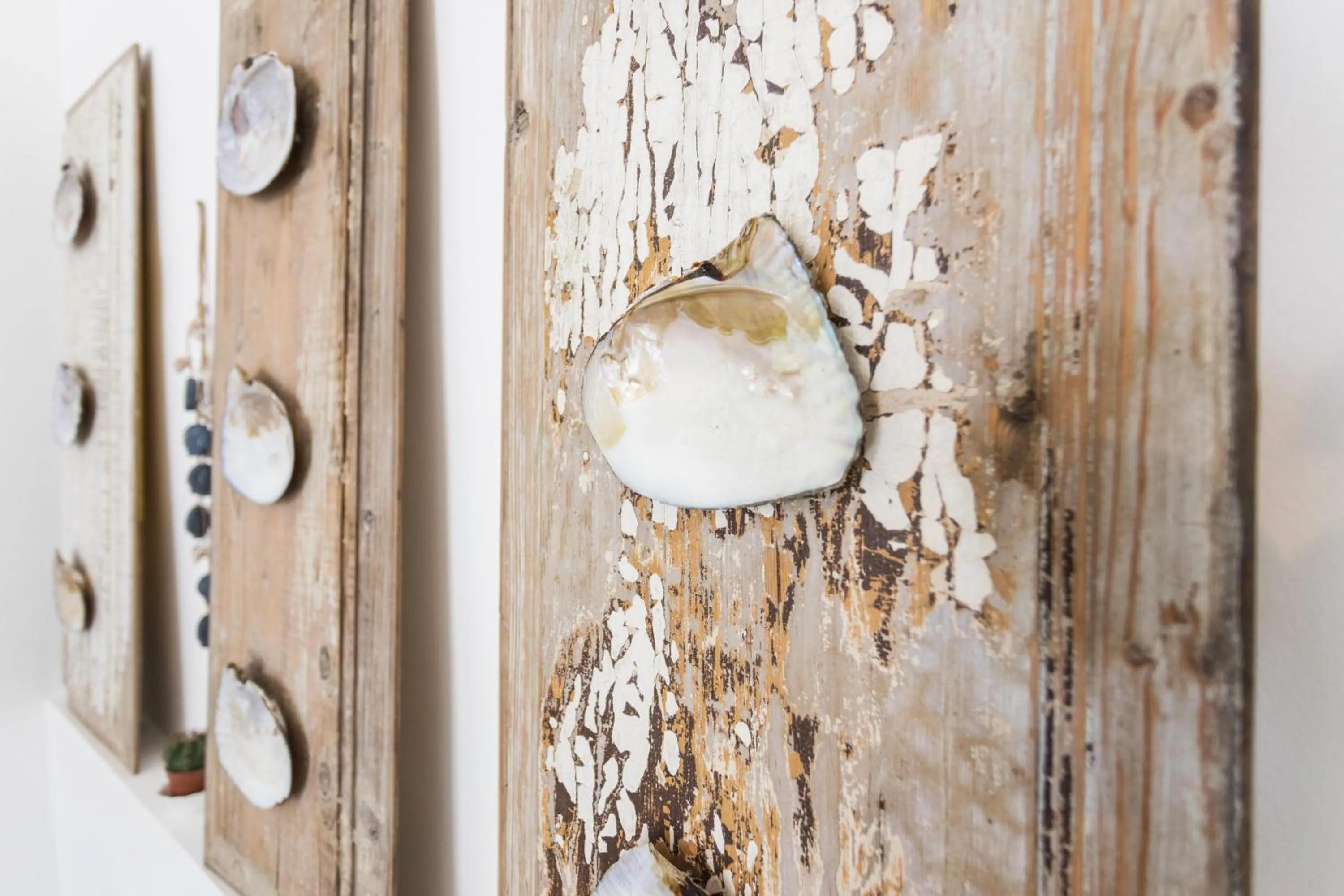 Other in Gallipoli West Coast